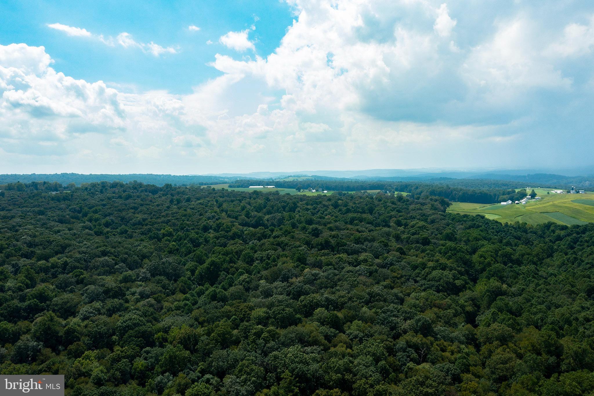 RESERVE AT UNION SCHOOL - Land