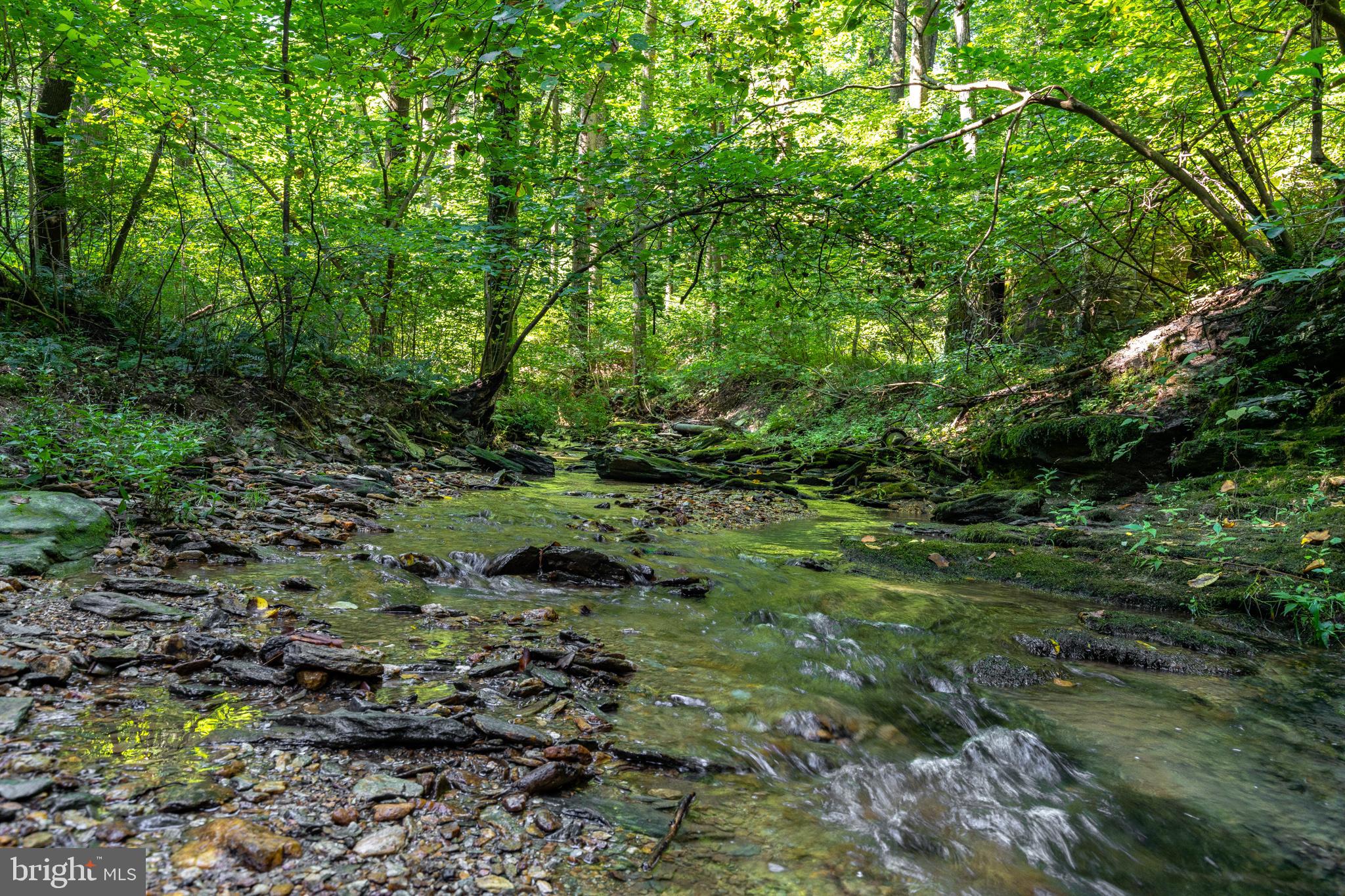 RESERVE AT UNION SCHOOL - Land