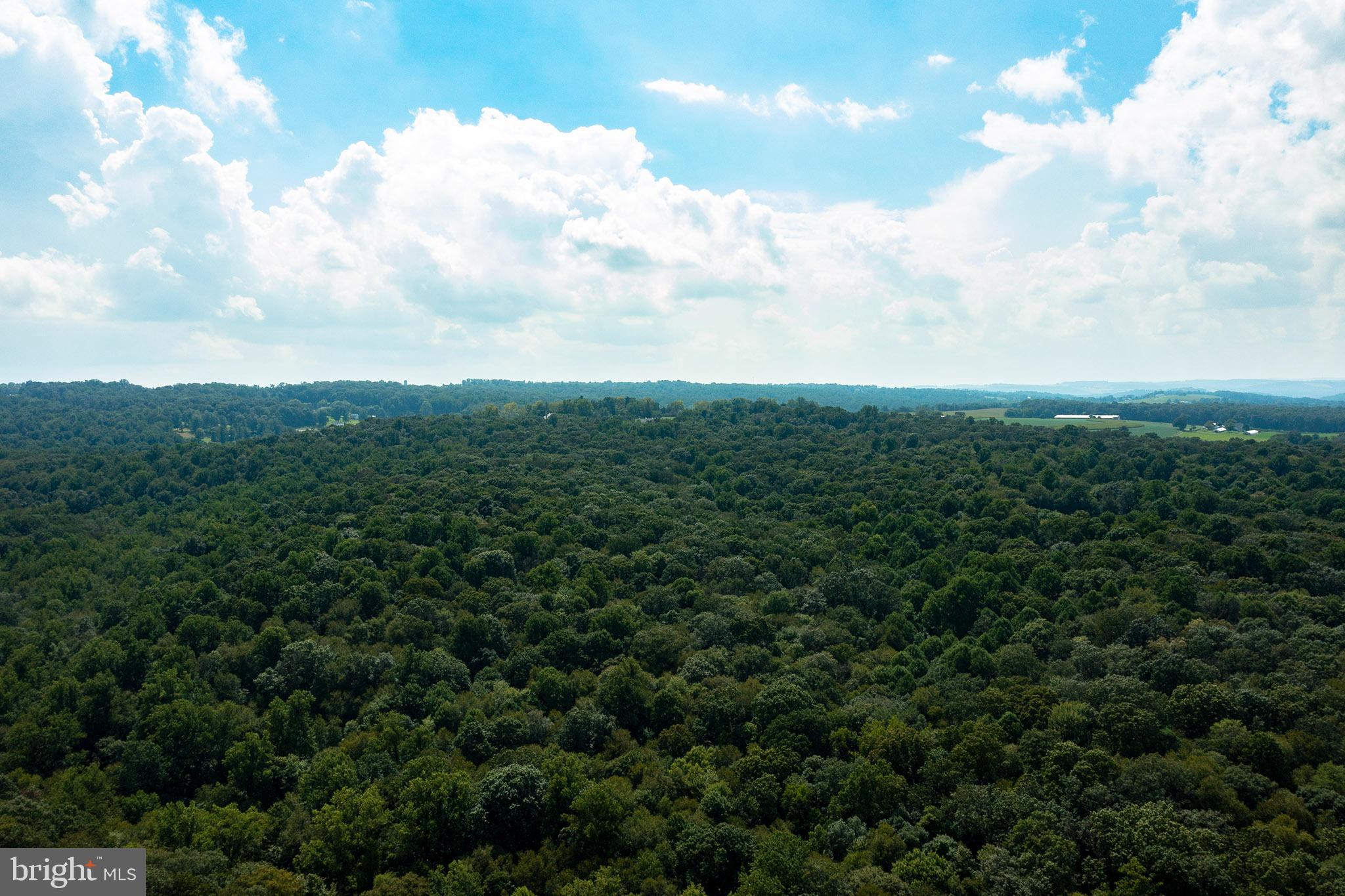 RESERVE AT UNION SCHOOL - Land