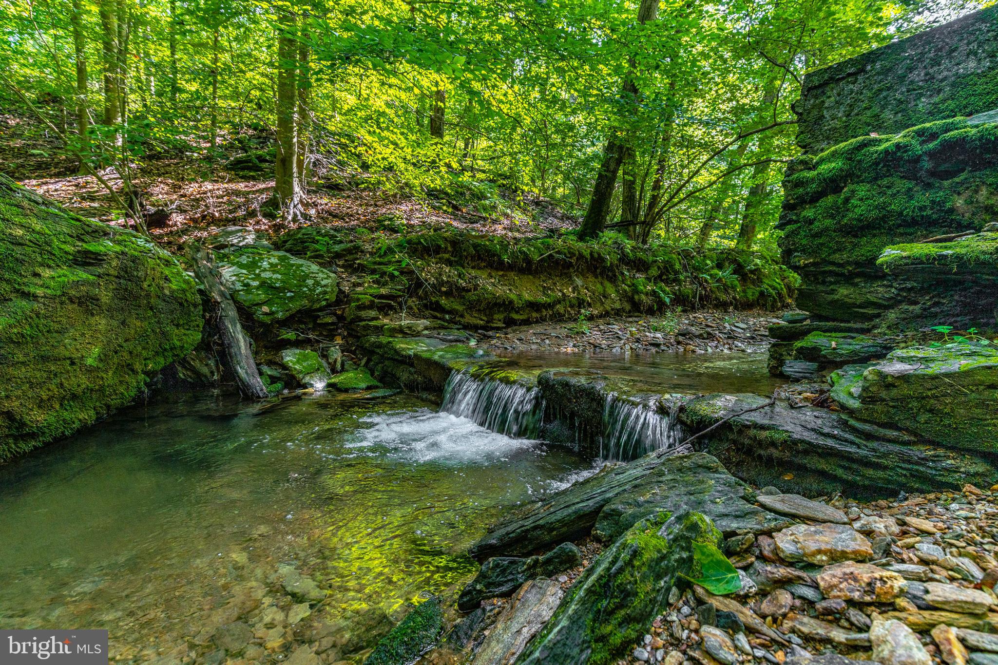 RESERVE AT UNION SCHOOL - Land