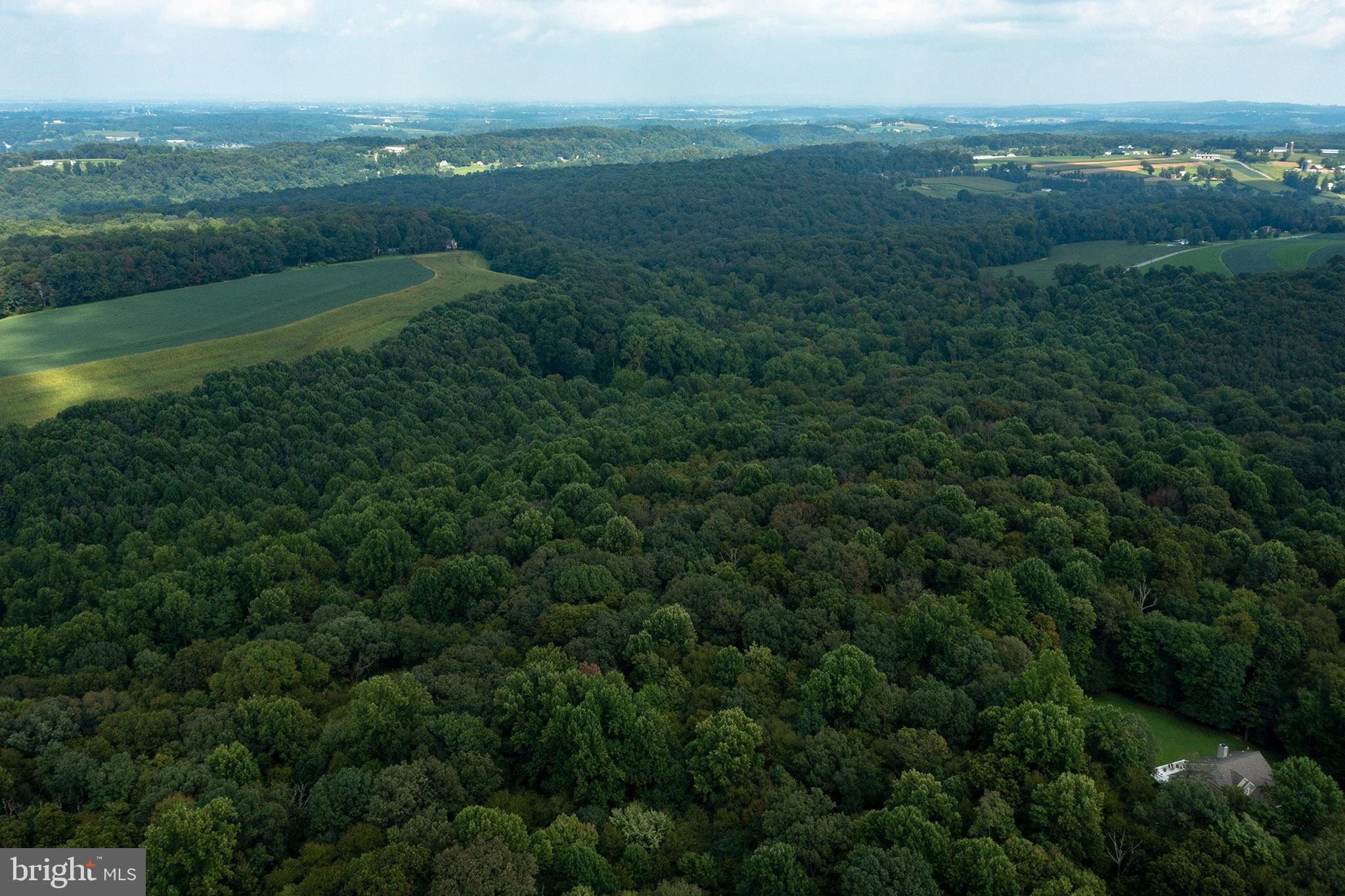 RESERVE AT UNION SCHOOL - Land