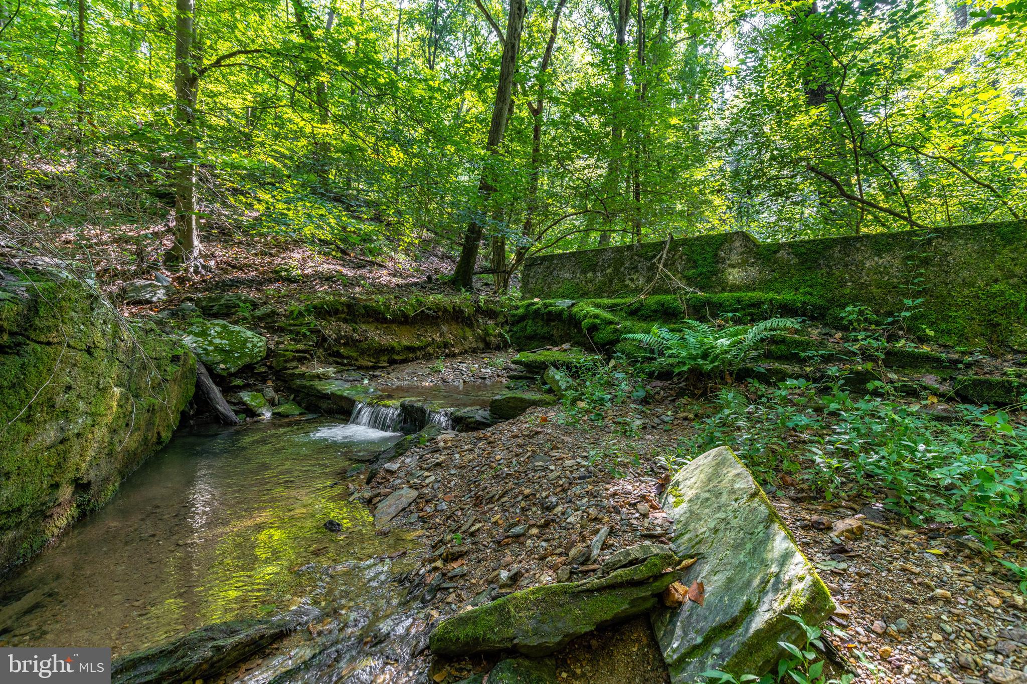 RESERVE AT UNION SCHOOL - Land