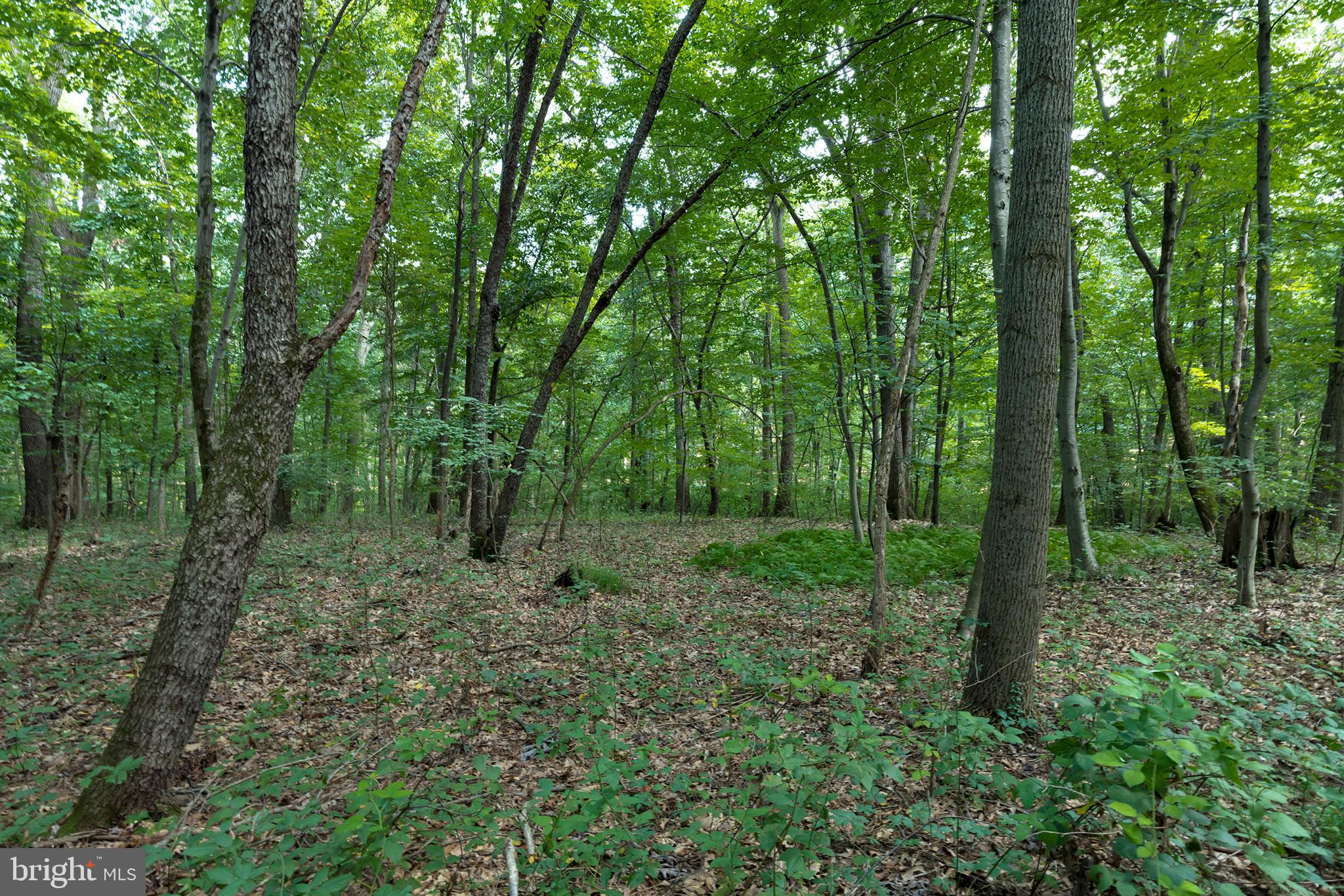 RESERVE AT UNION SCHOOL - Land