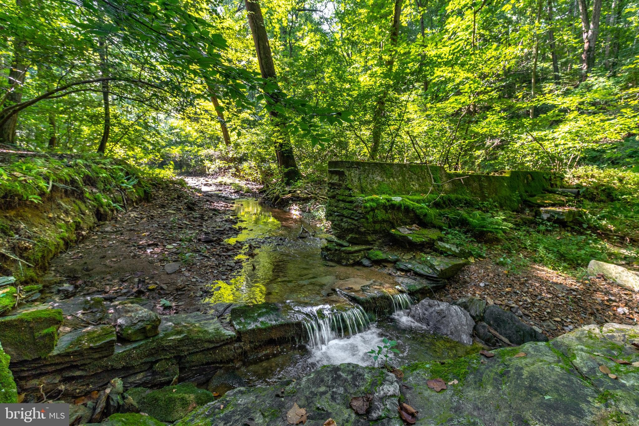 RESERVE AT UNION SCHOOL - Land