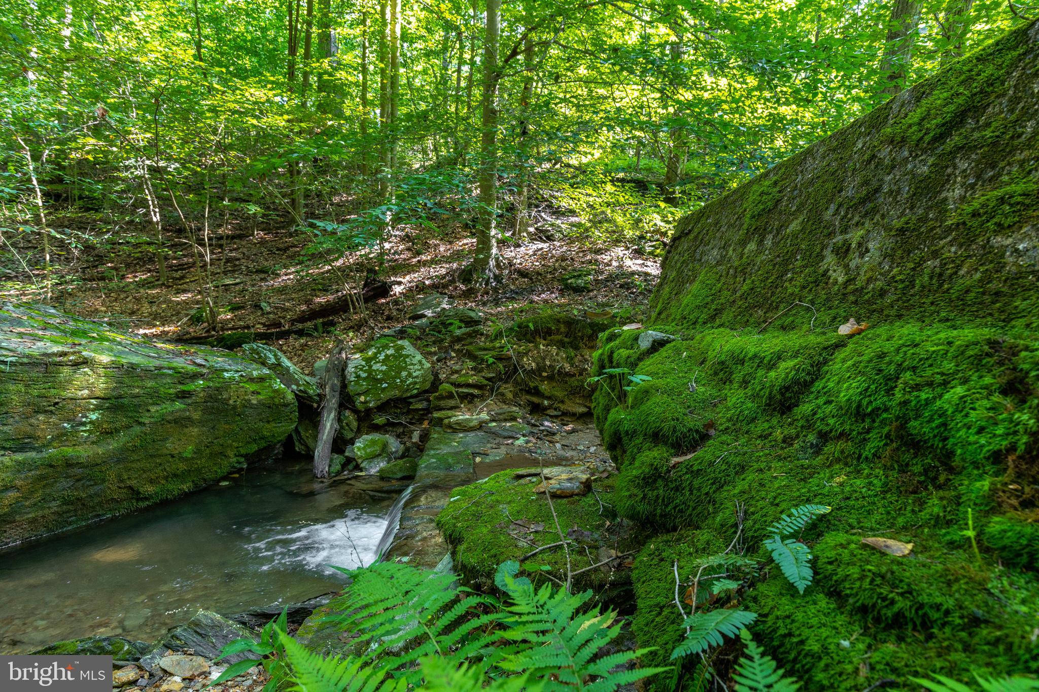 RESERVE AT UNION SCHOOL - Land