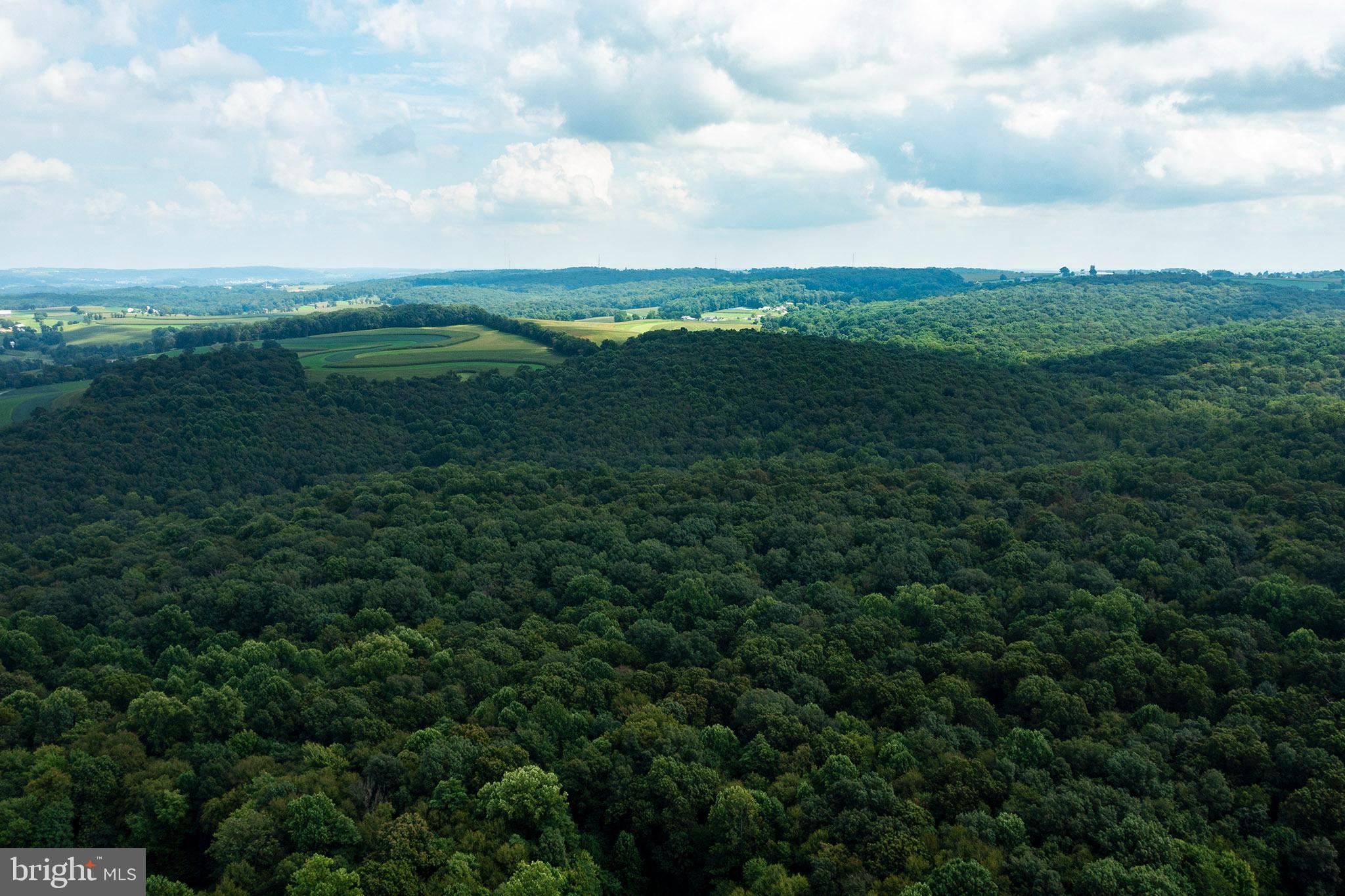 RESERVE AT UNION SCHOOL - Land