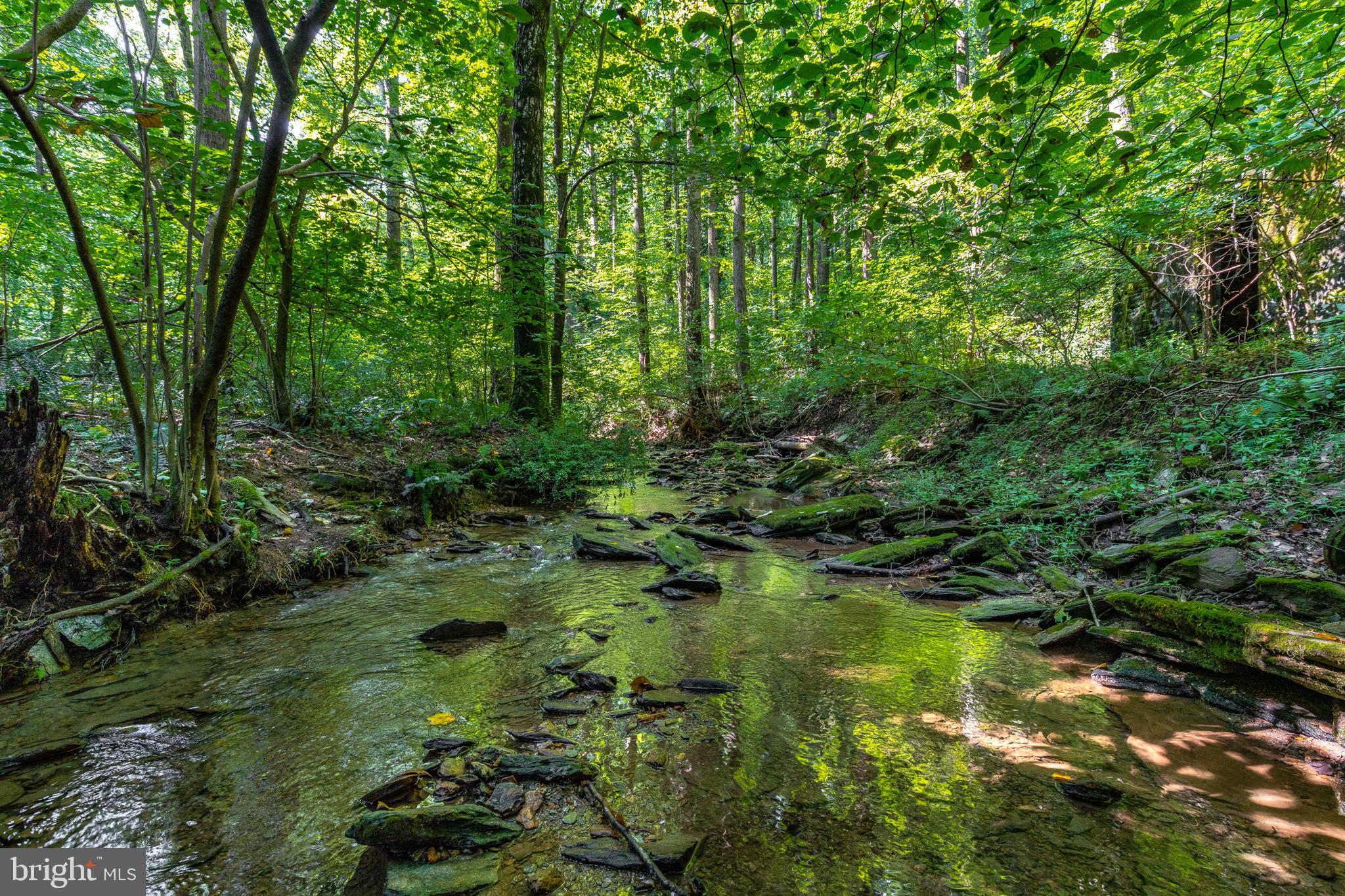 RESERVE AT UNION SCHOOL - Land