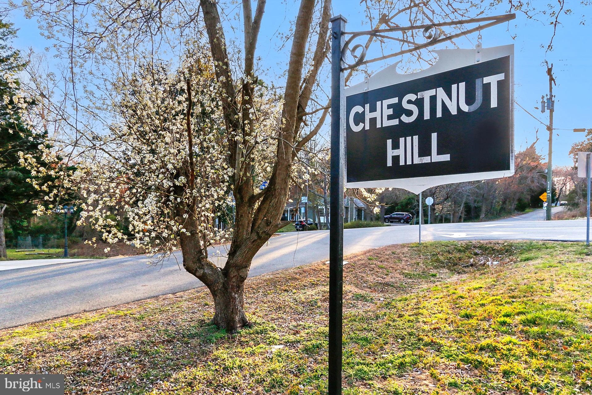 CHESTNUT HILL - Residential