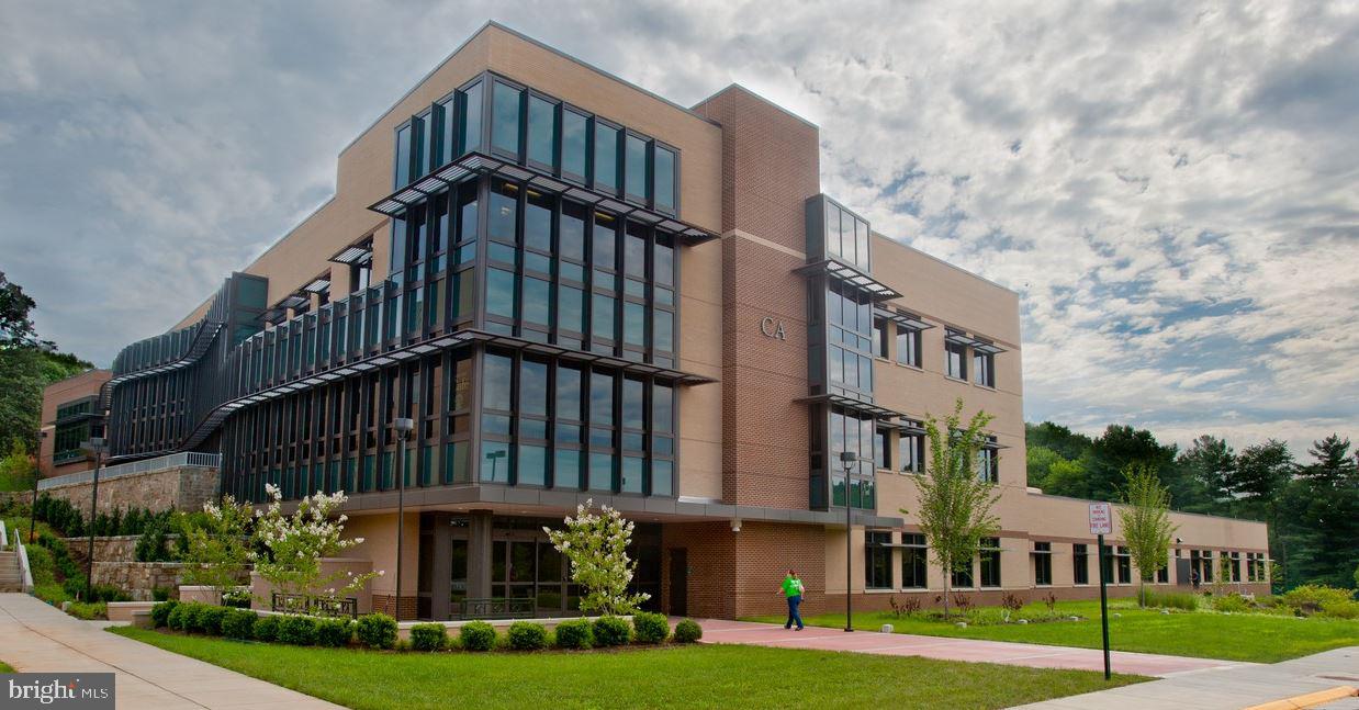 CHESTNUT HILL - Residential