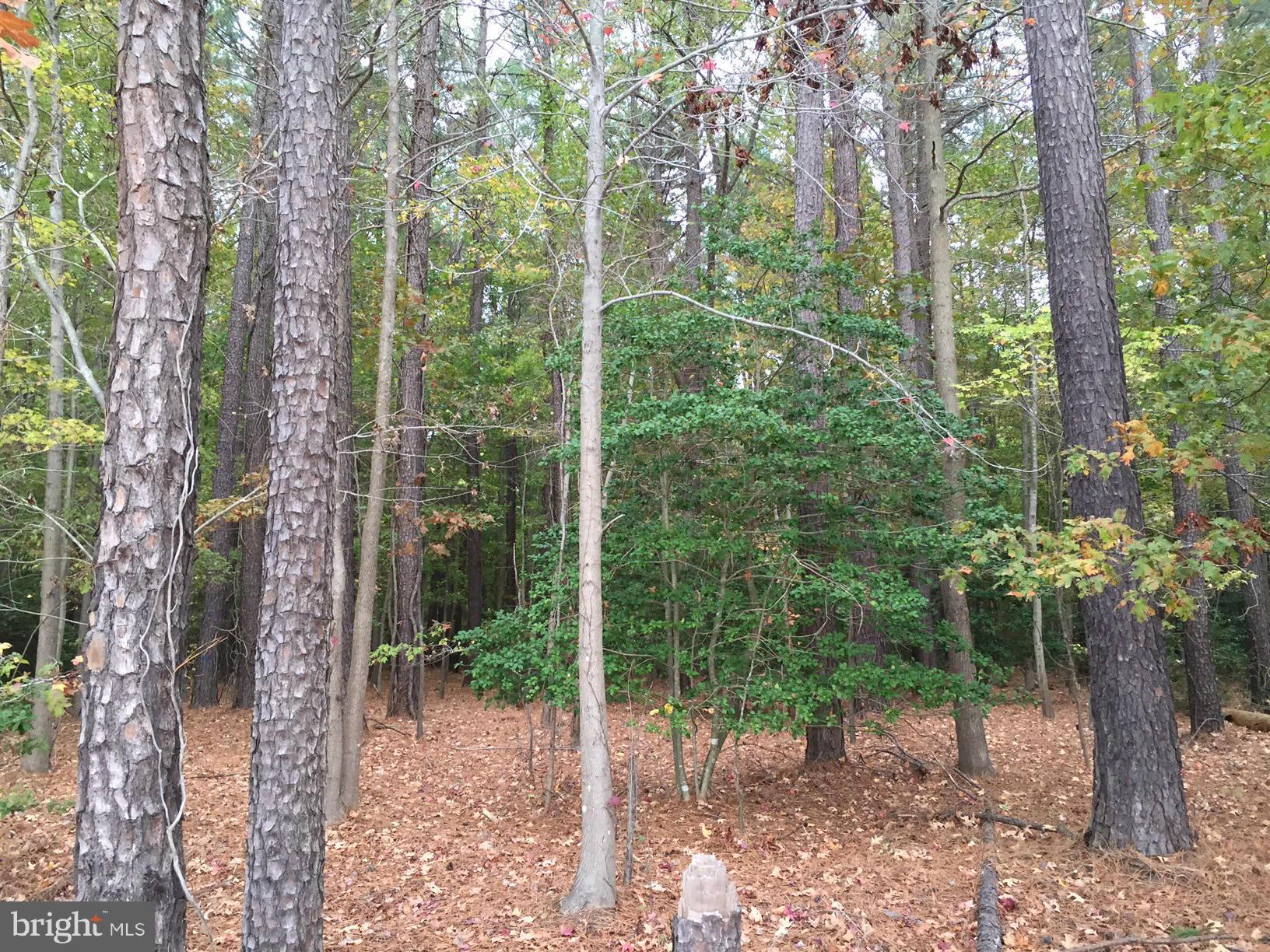 NONE AVAILABLE - Land