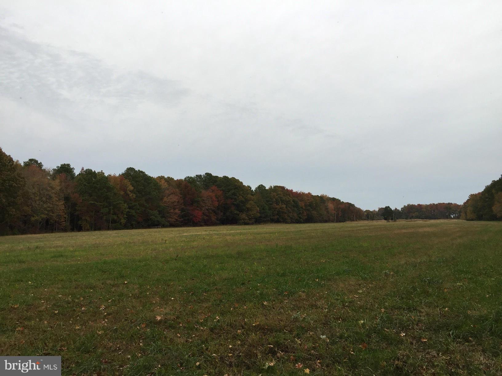 NONE AVAILABLE - Land