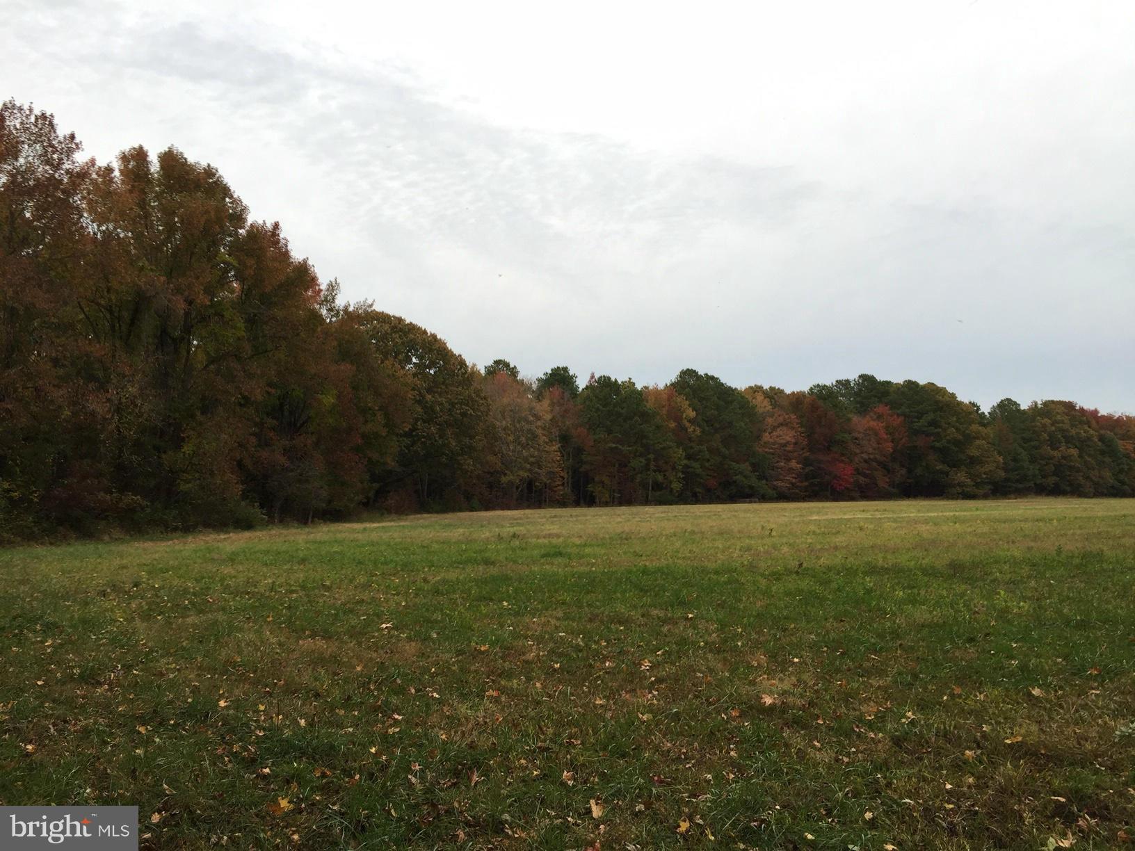 NONE AVAILABLE - Land