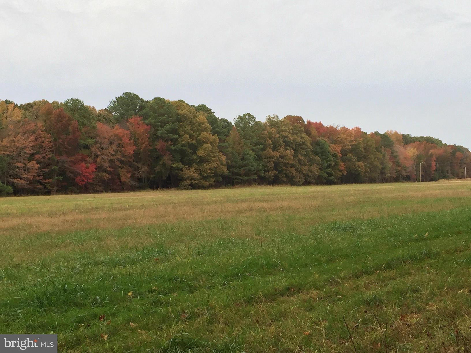 NONE AVAILABLE - Land