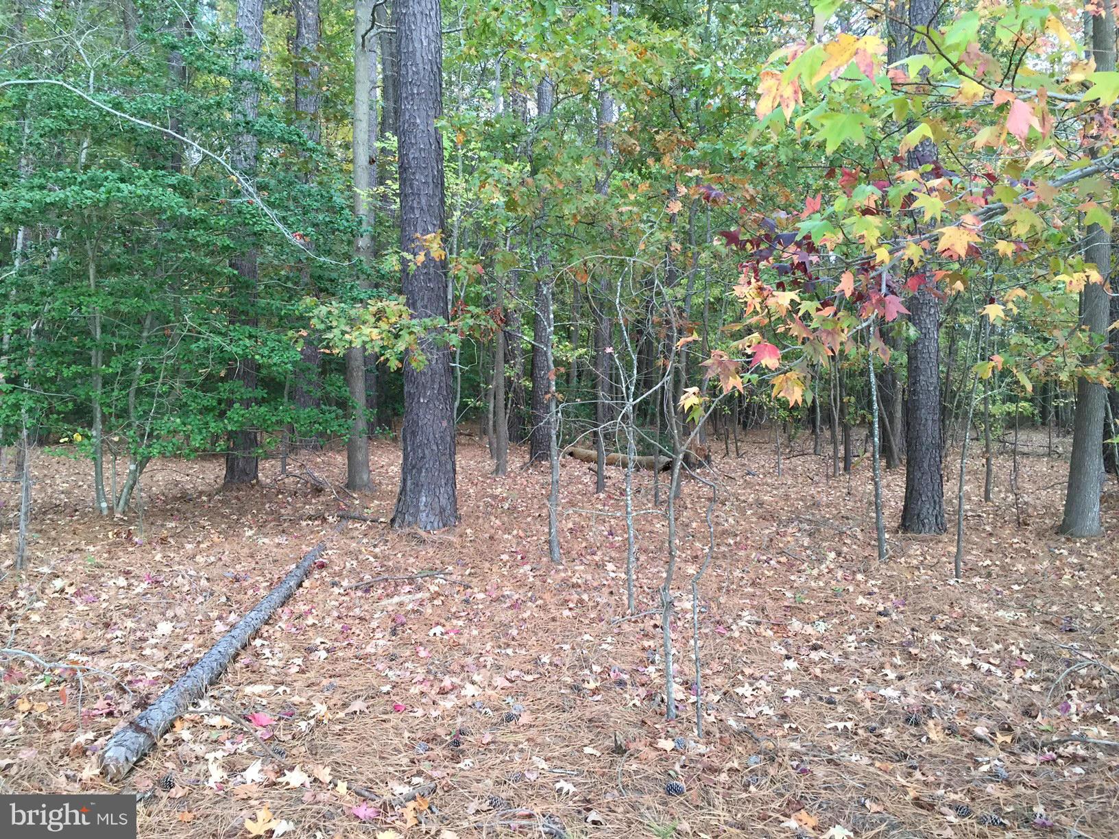 NONE AVAILABLE - Land