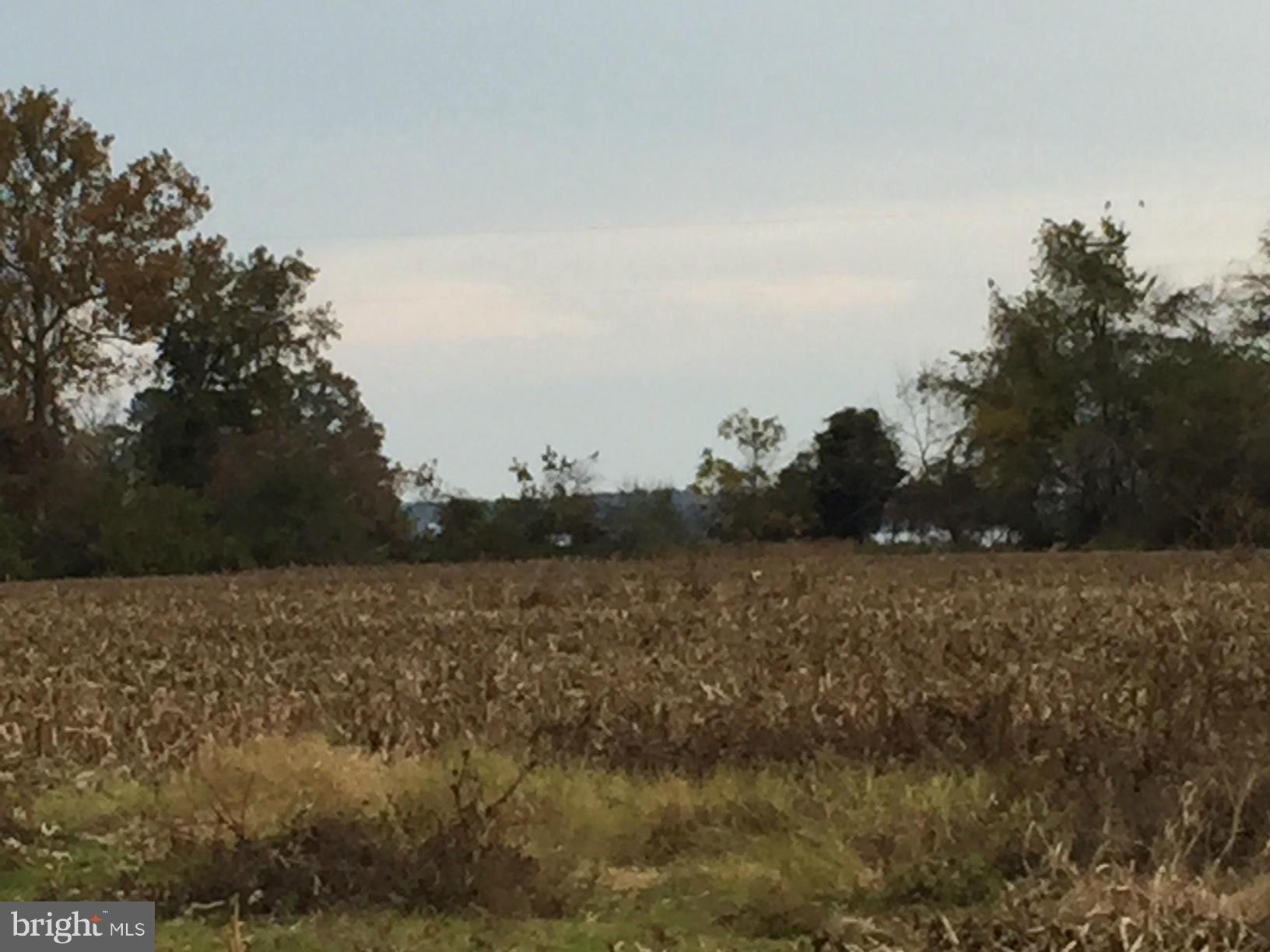 NONE AVAILABLE - Land