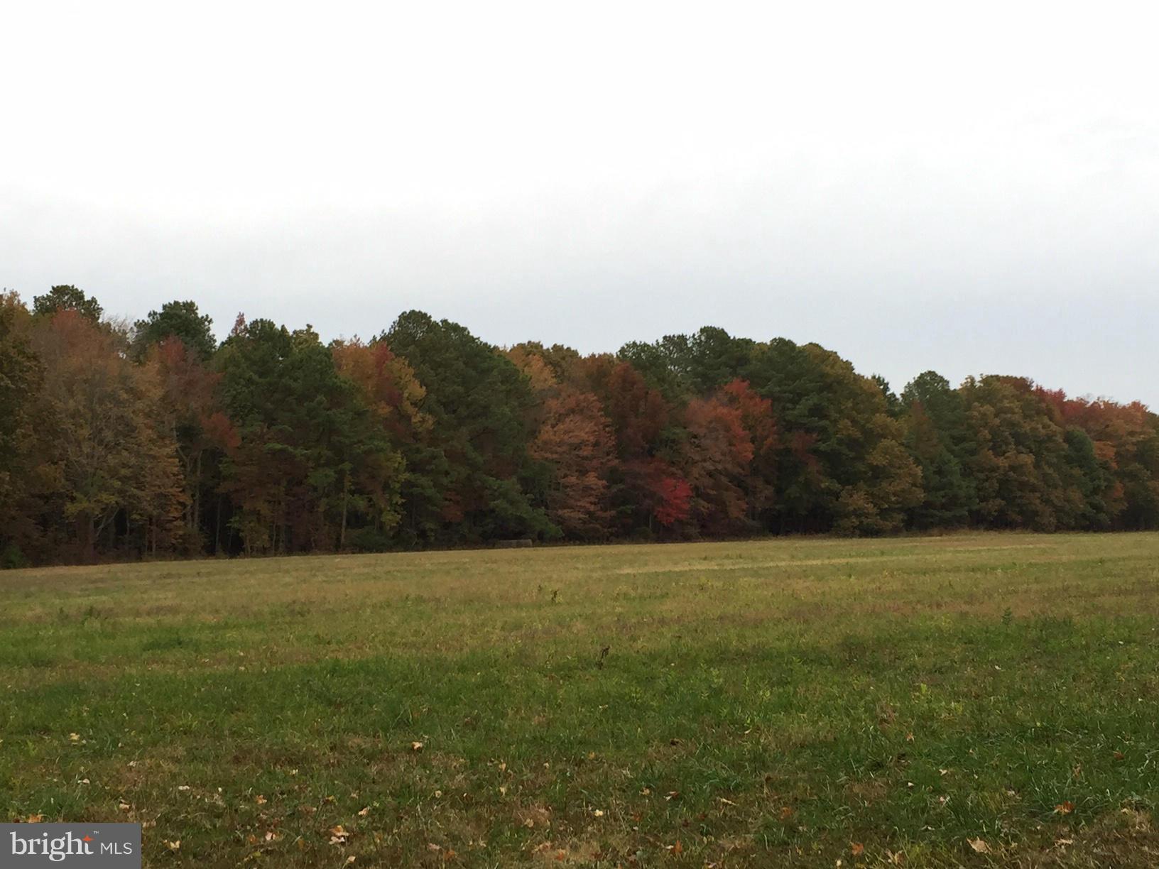 NONE AVAILABLE - Land