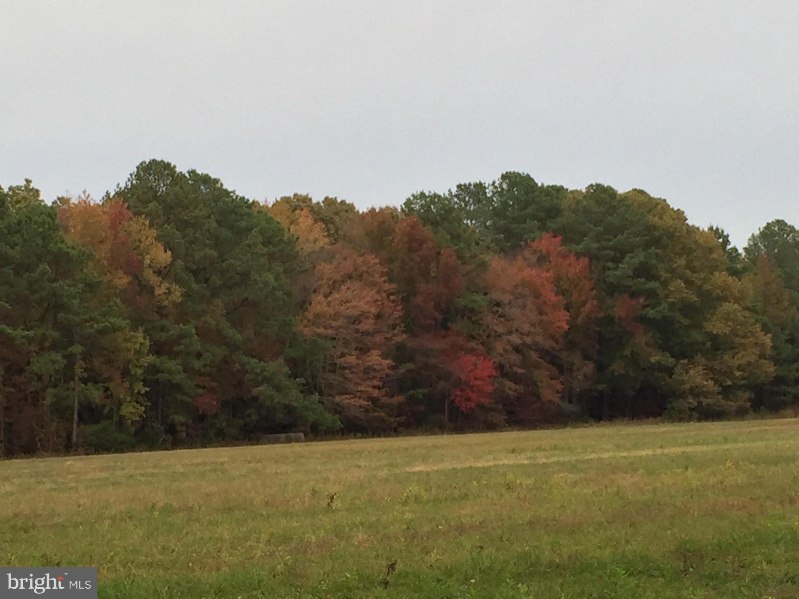 NONE AVAILABLE - Land