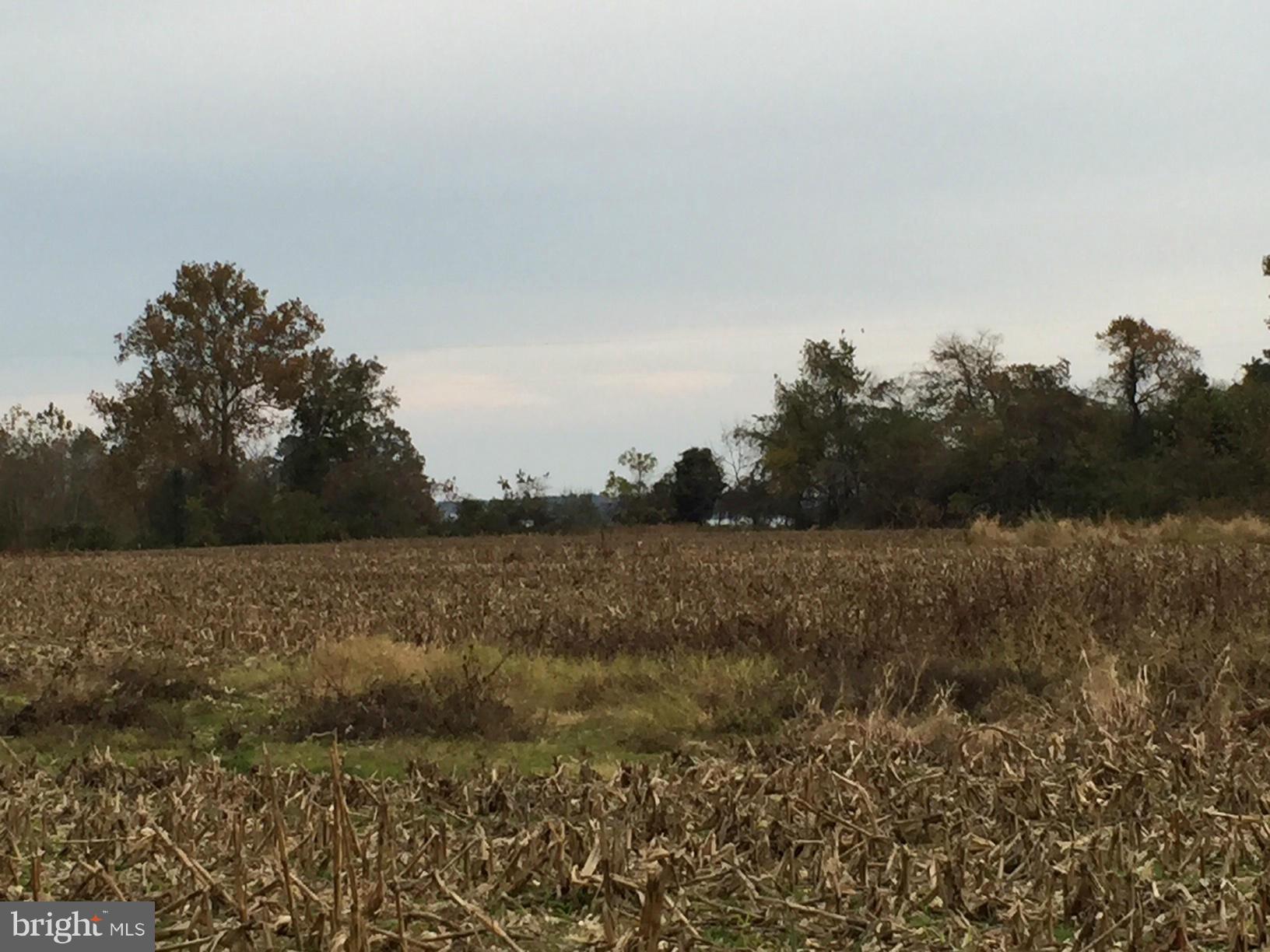 NONE AVAILABLE - Land