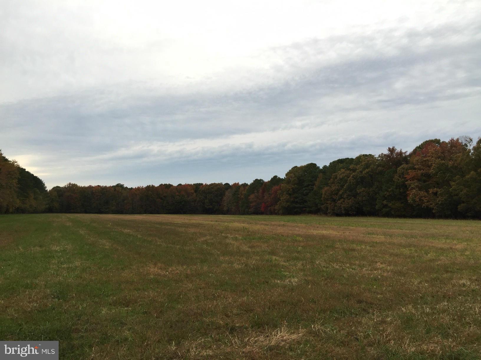 NONE AVAILABLE - Land