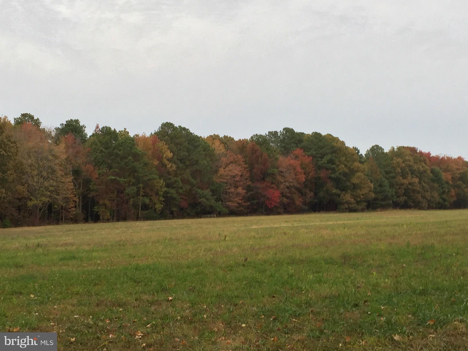 NONE AVAILABLE - Land