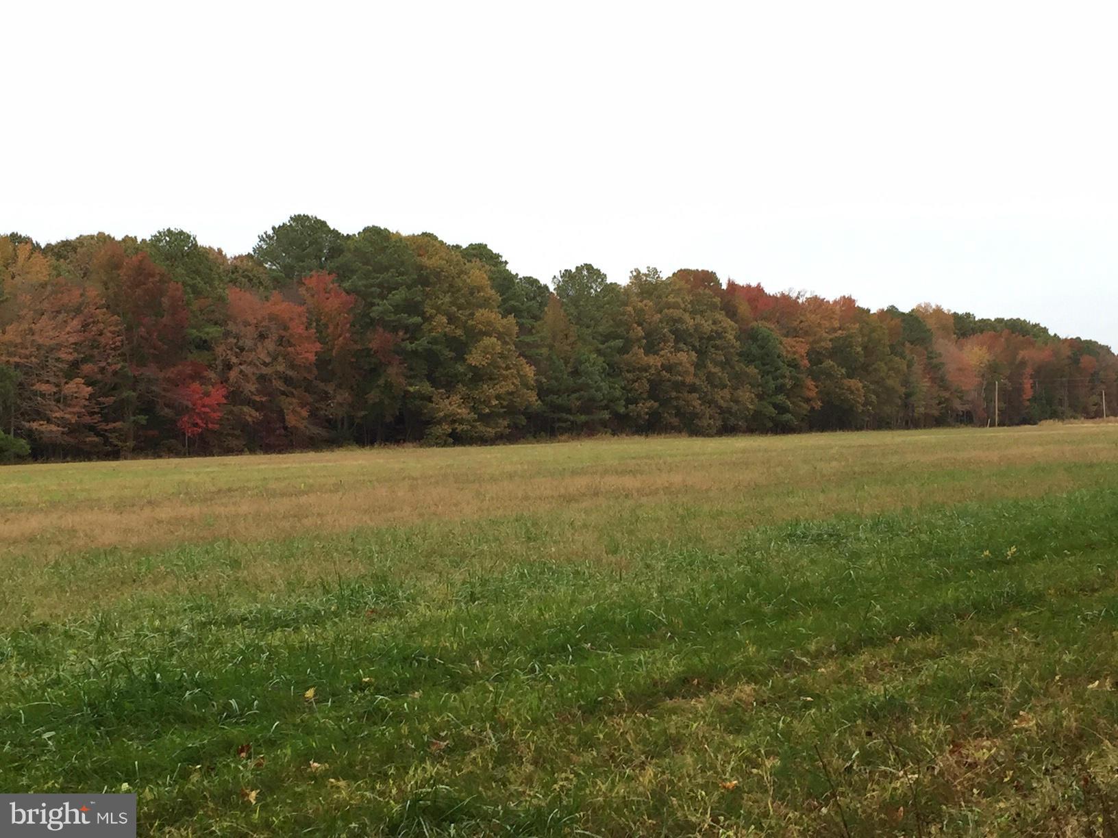 NONE AVAILABLE - Land