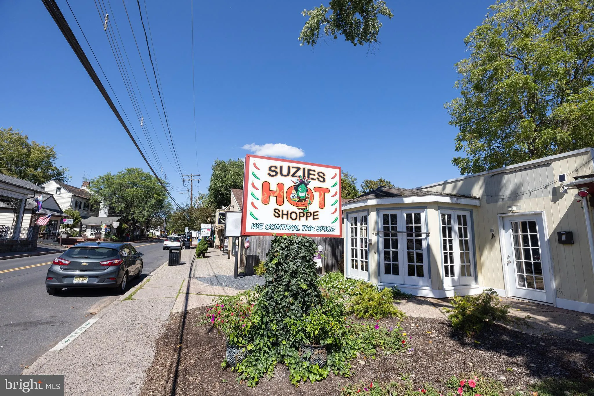 New Hope, Pennsylvania 18938, United States, ,Residential,Active,205831