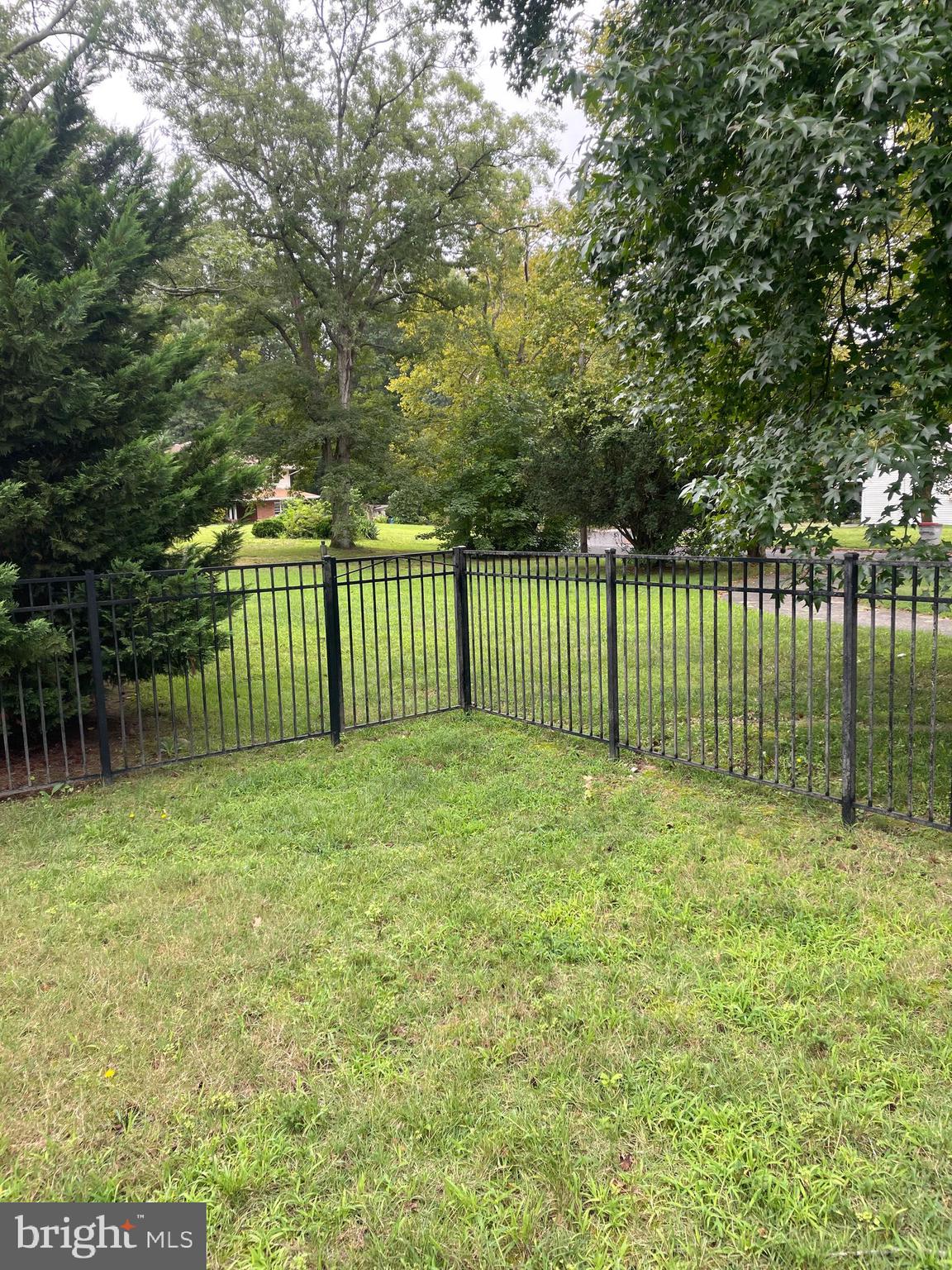 559 CHESTNUT TERRACE