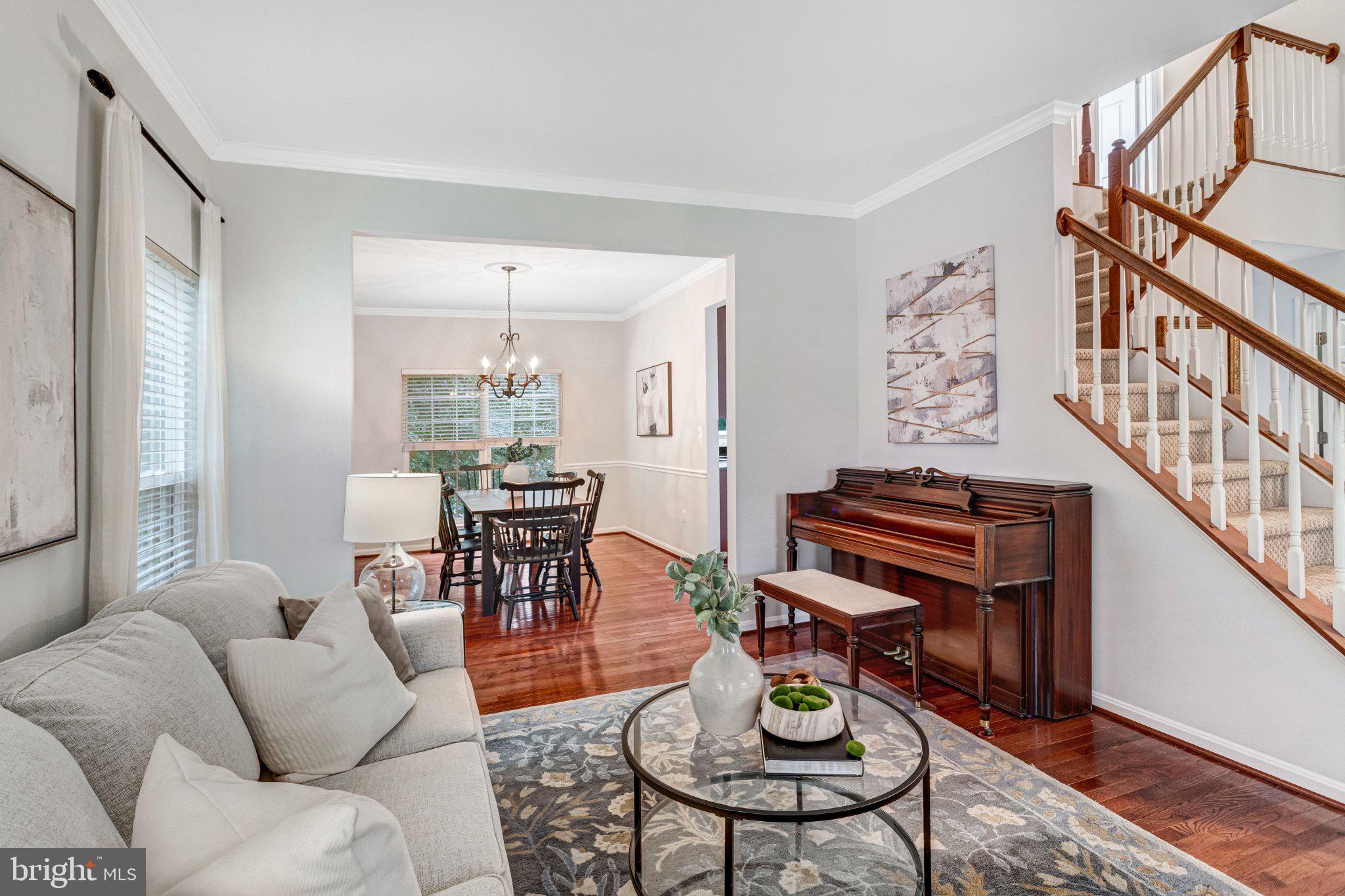 15216 SPOTTED TURTLE COURT