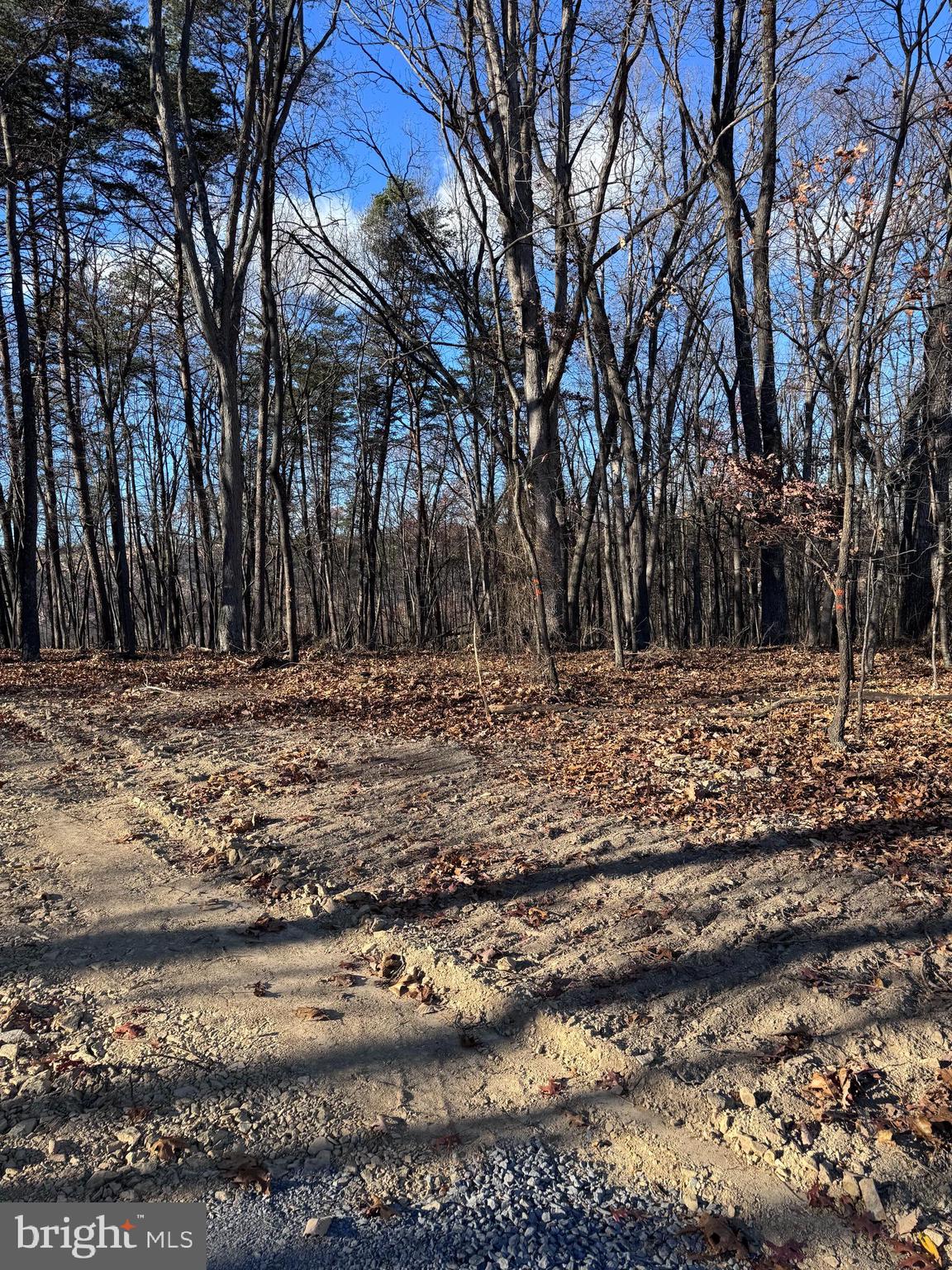 WOODSIDE ACRES - Land