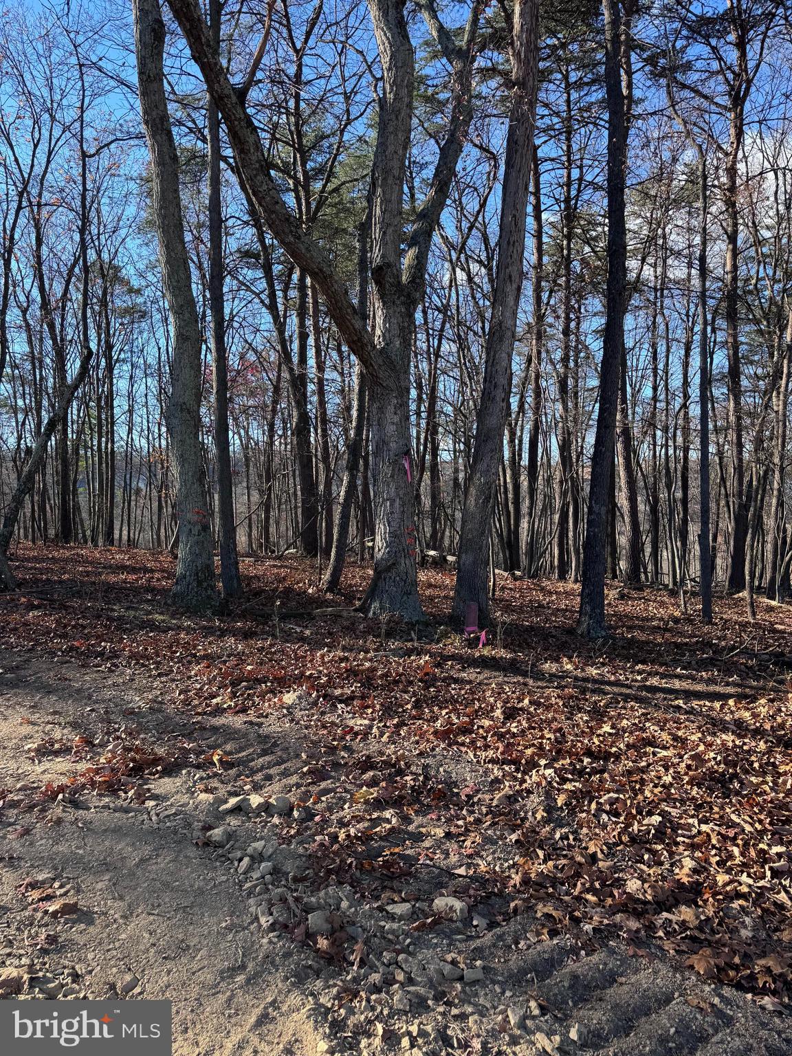 WOODSIDE ACRES - Land