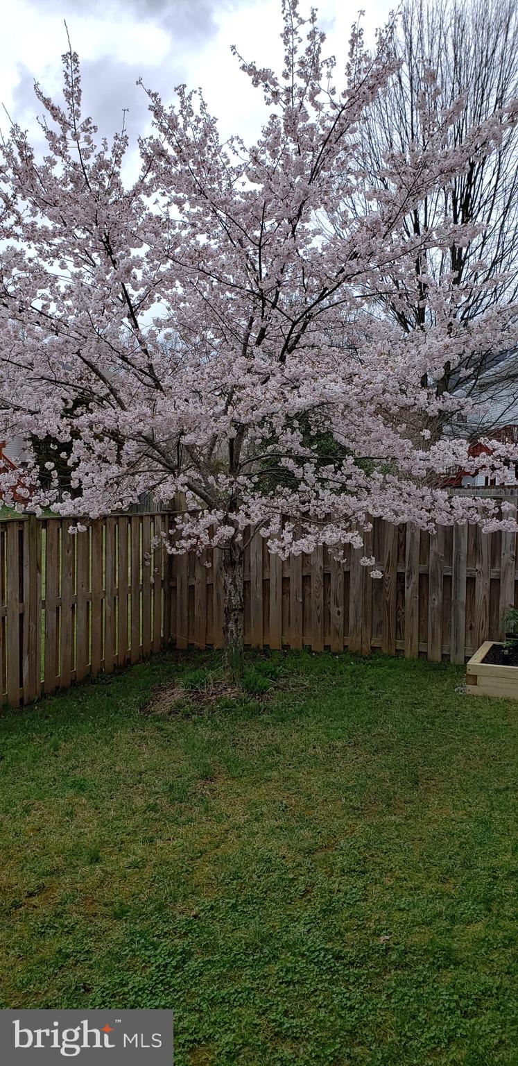 ROSEBERRY - Residential