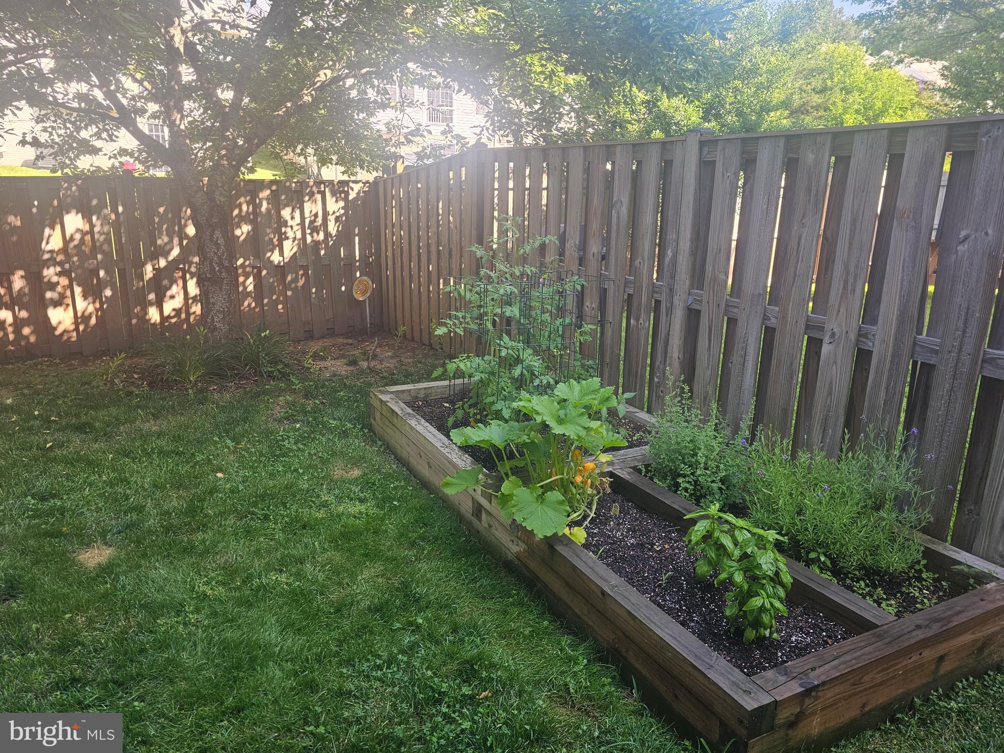 ROSEBERRY - Residential