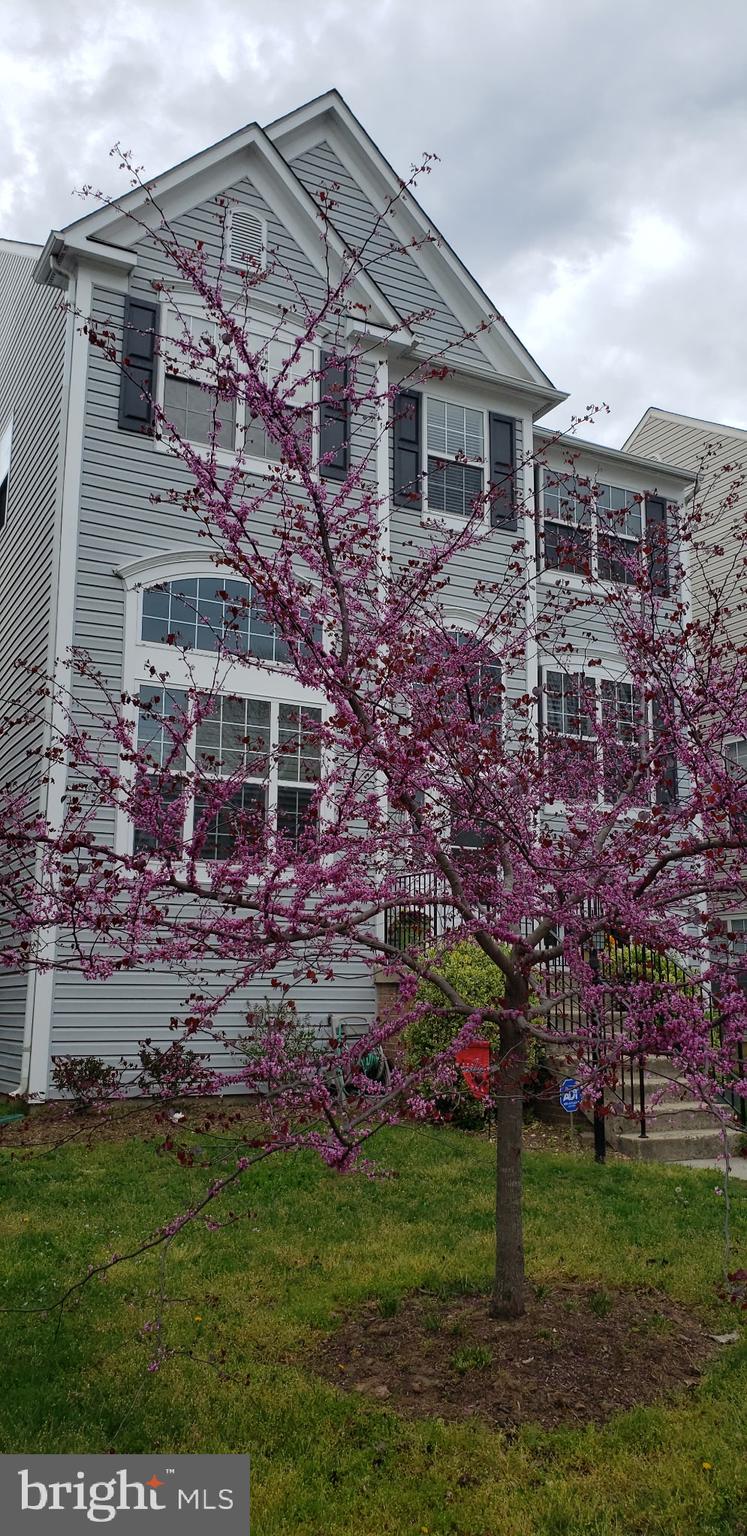 ROSEBERRY - Residential