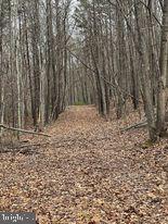Highly sought after but hard to find ! Almost 90 acres of unrestricted property in highly desirable Capon Bridge ,WV ! Hunt for deer, bear ,wild turkey ,ride your ATV's ,shoot your guns ,build your cabin in the woods or just star gaze! The choice is yours with this piece of Almost Heaven ! Great location only 30 minutes West of Winchester ,VA or 1.5 hours from the beltway so come check it out before its going, going, gone !Great time to buy land as an investment ,hedge against inflation or just to enjoy this great parcel ! So come out to Wild ,Wonderful Capon Bridge, WV and find out why Mountaineers are always free !