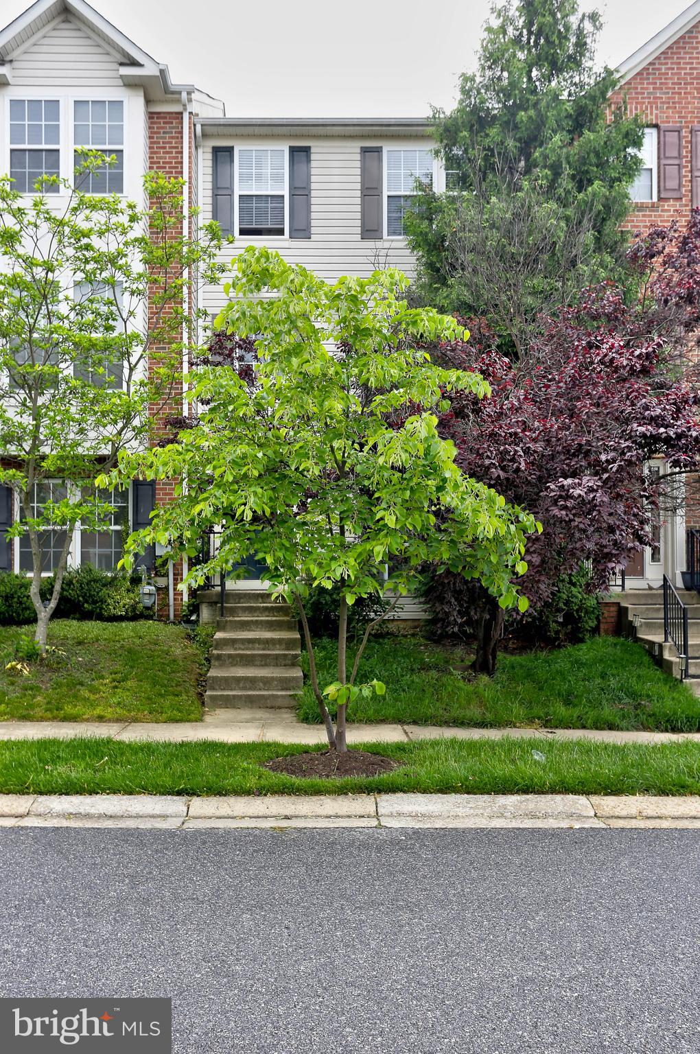 819 LOWE RD
