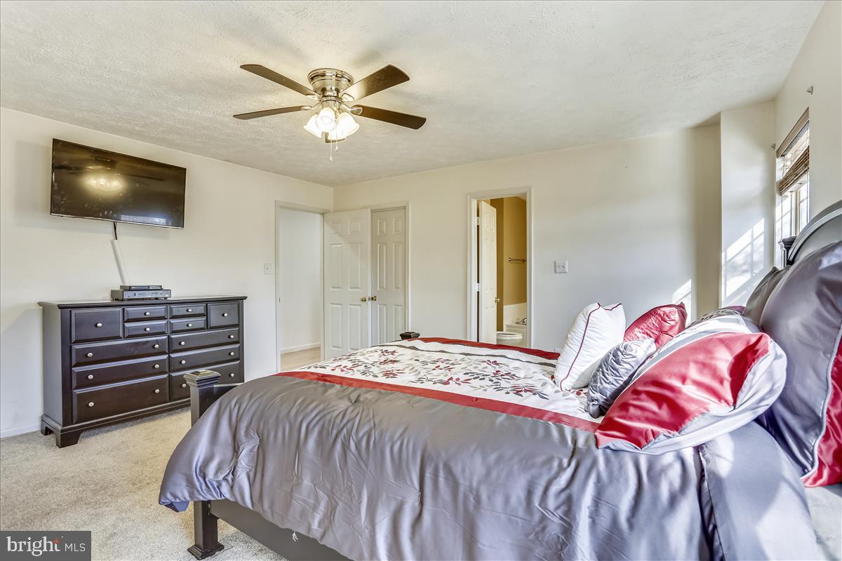 DORCHESTER - Residential