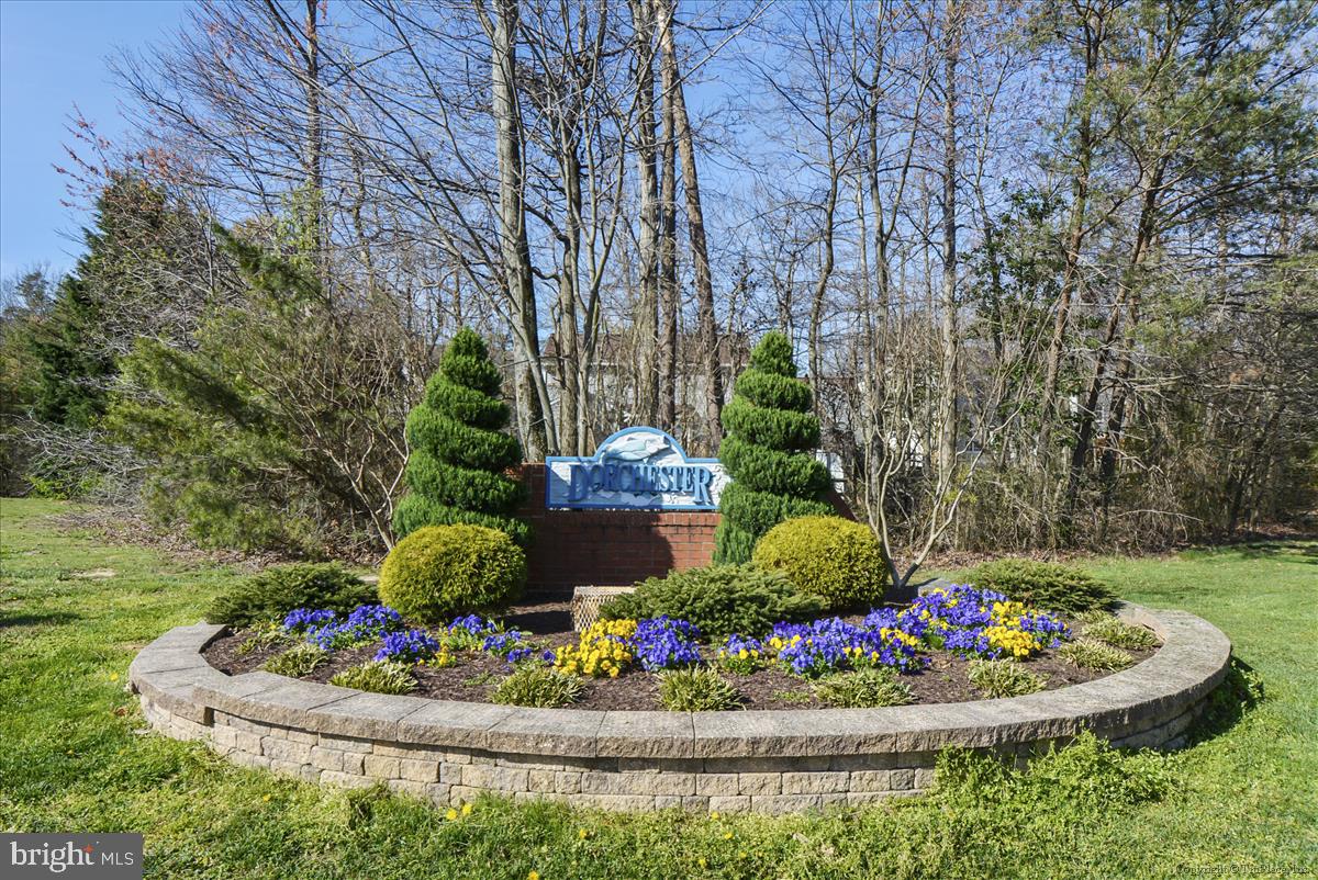 DORCHESTER - Residential