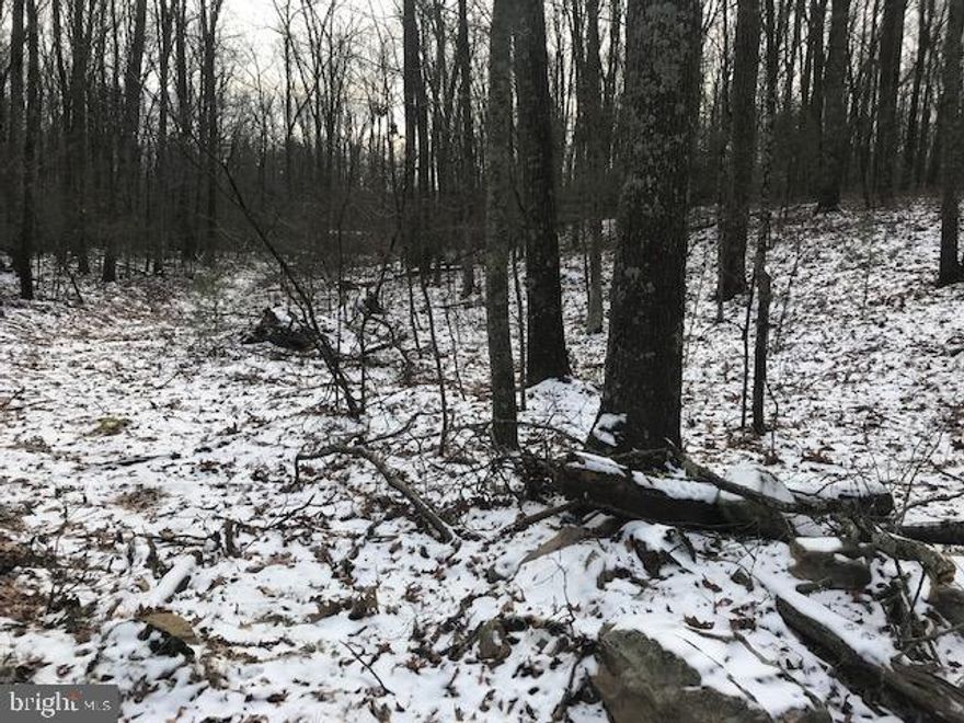 209x209 wooded lot in Fayette Twp on Camp Lane off of Mountain Road.  Perked for sandmound and design is on file for 3 bedroom & 2 full bath home.  Wooded.  No road frontage.  PPL has a 30' ROW on far right side of property.  Electric pool on site for hookup.  No well.