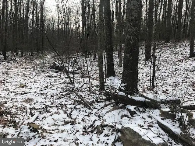 Camp Lane, McAlisterville, PA 17049