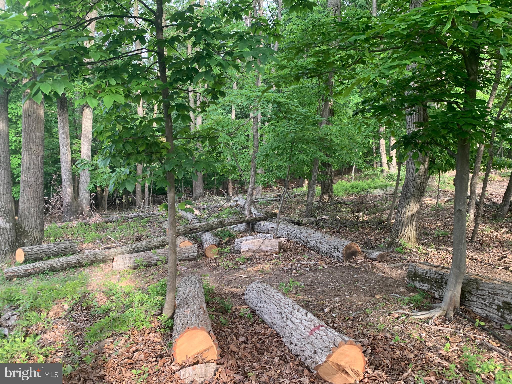 WOODRIDGE AT LAKE LINGANORE - Residential