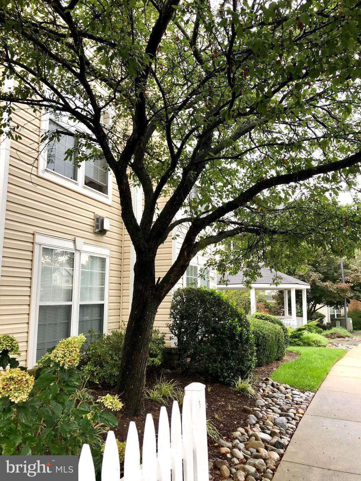 AMBER RIDGE AT MILESTONE - Residential Lease