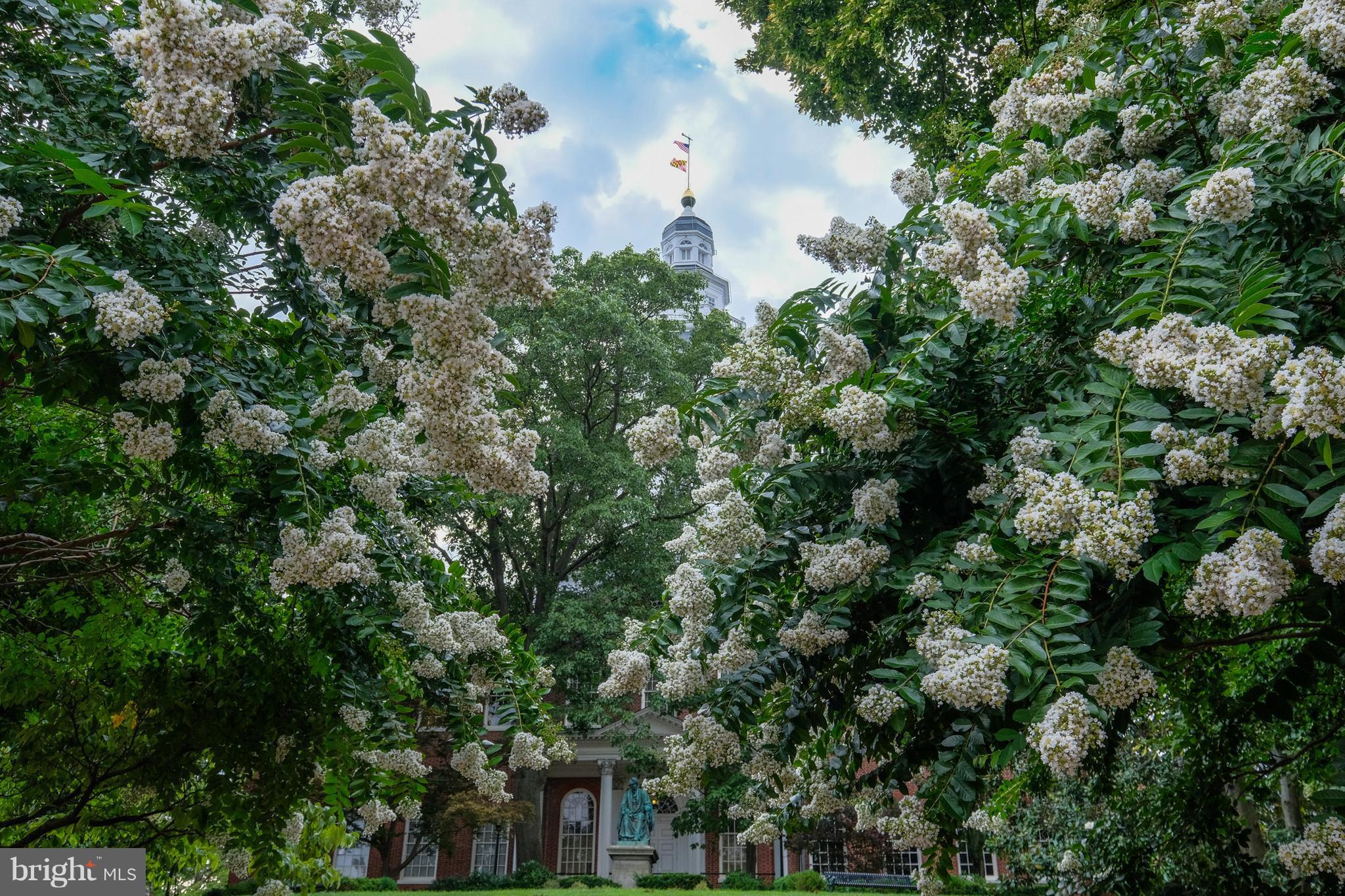 HISTORIC DISTRICT - Residential Lease