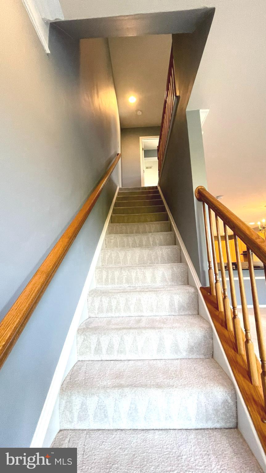 POTOMAC STATION - Residential Lease