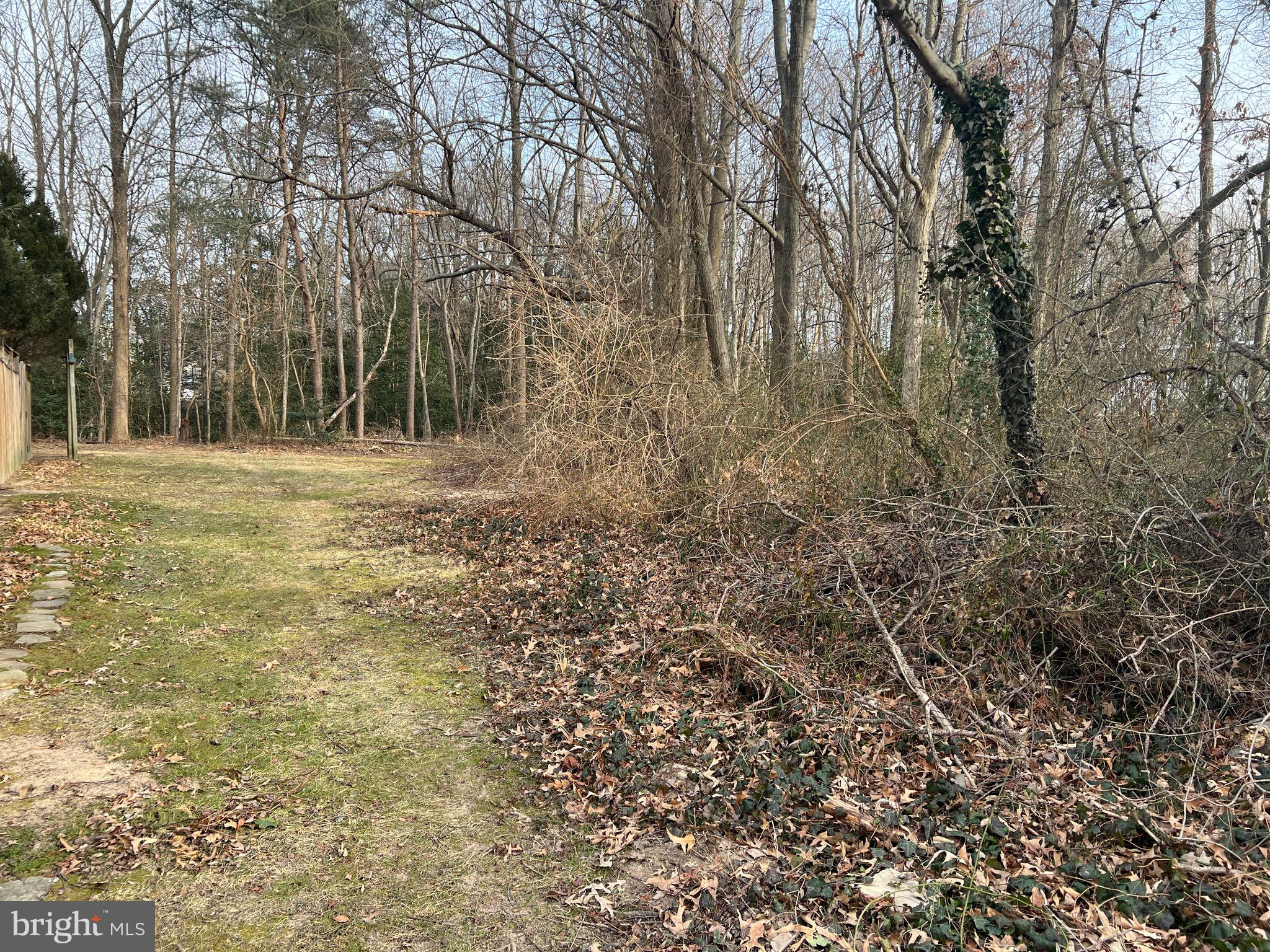 ASPEN PARK - Residential