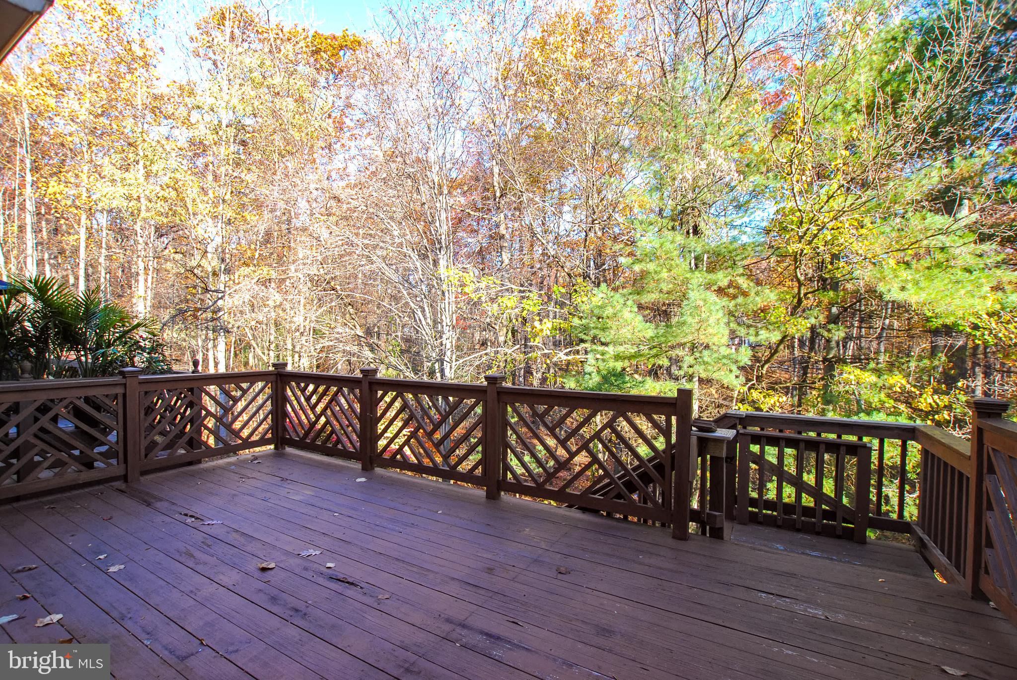 CHAPEL GATE - Residential Lease