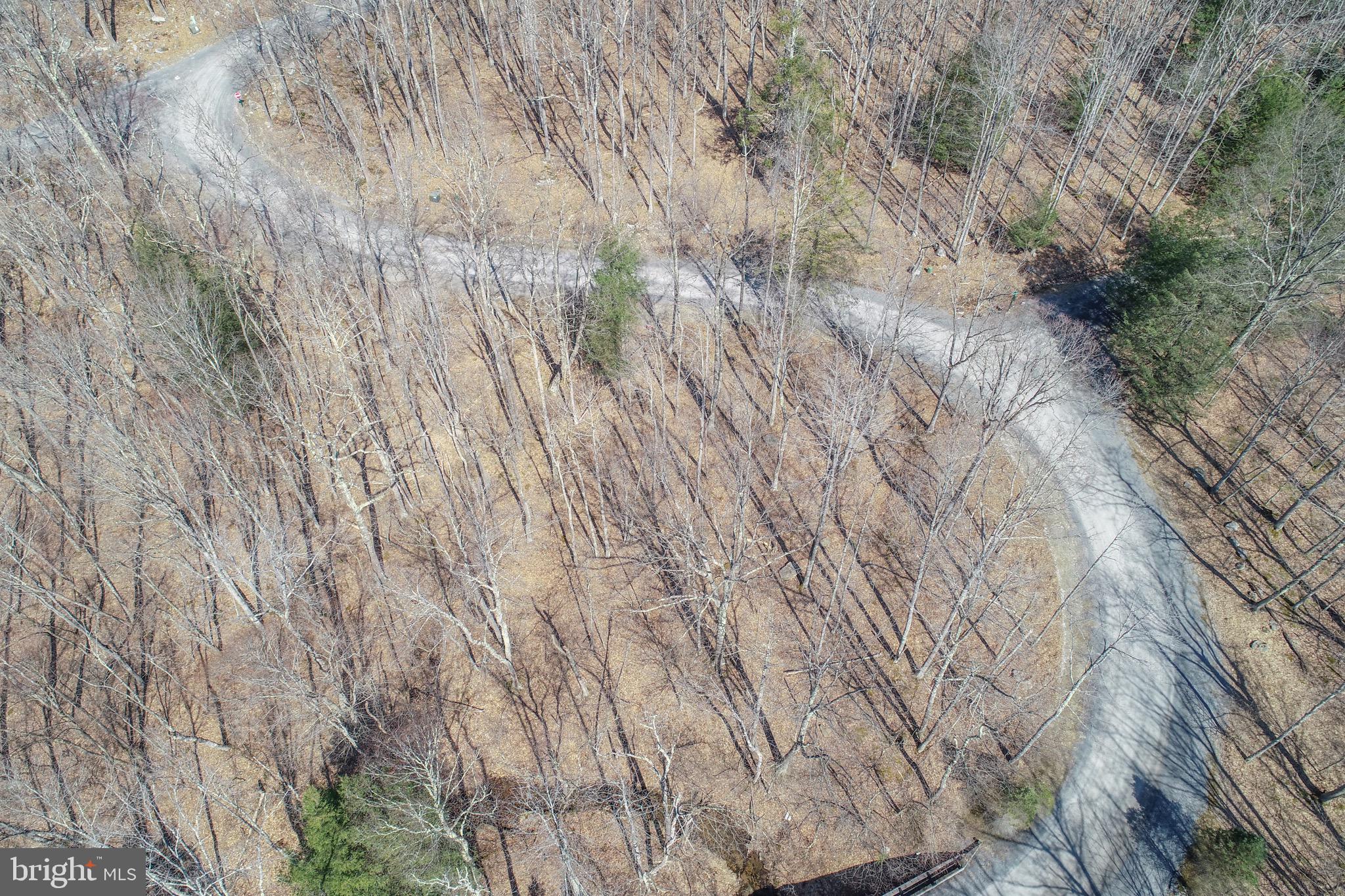 GALLATIN WOODS - Land