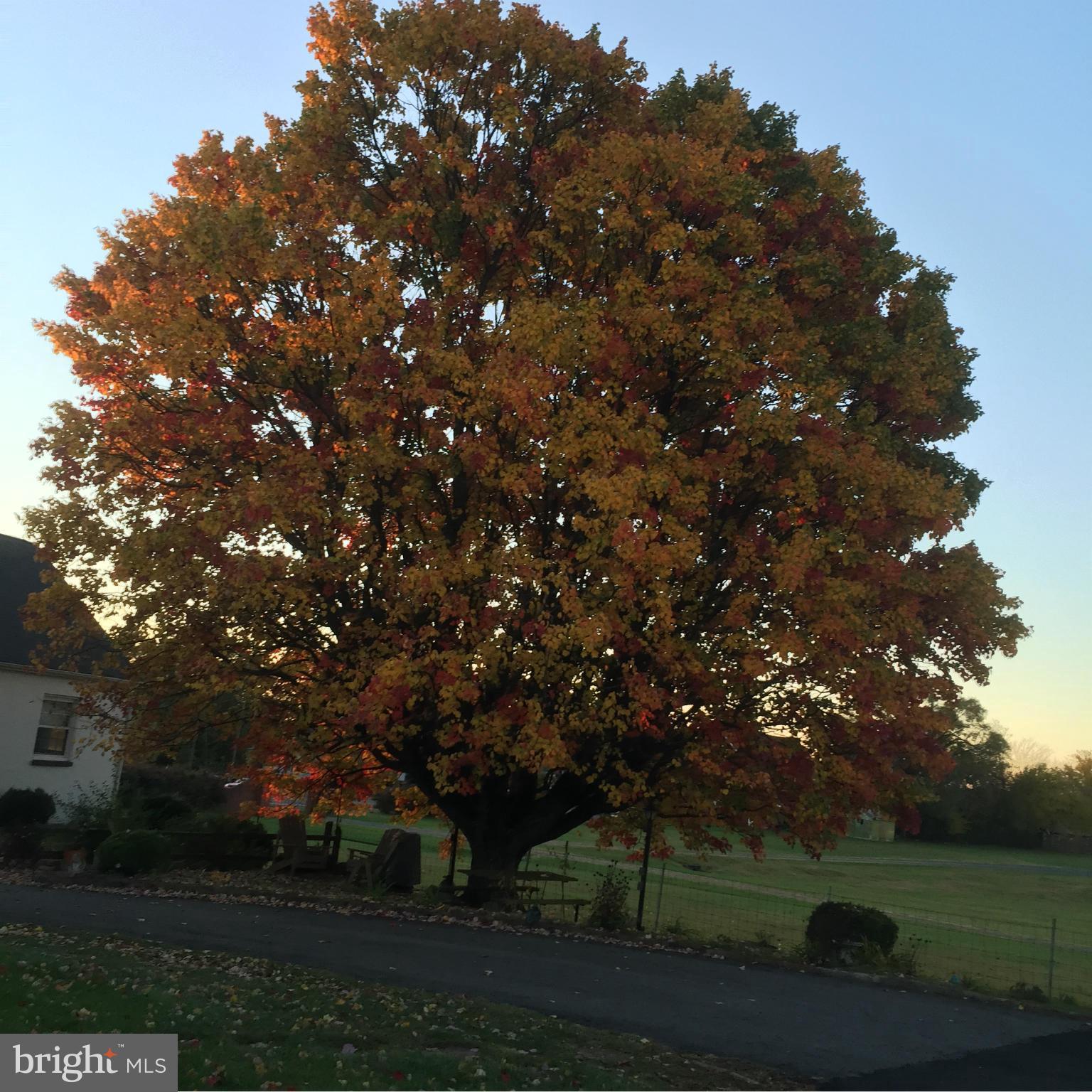 BYWATERS - Residential