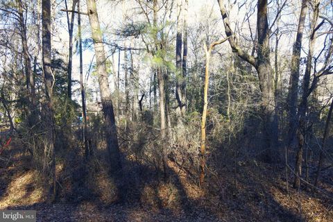 Vacant Land For Sale - S Piney Point Road<br/> BISHOPVILLE, MD 21813
