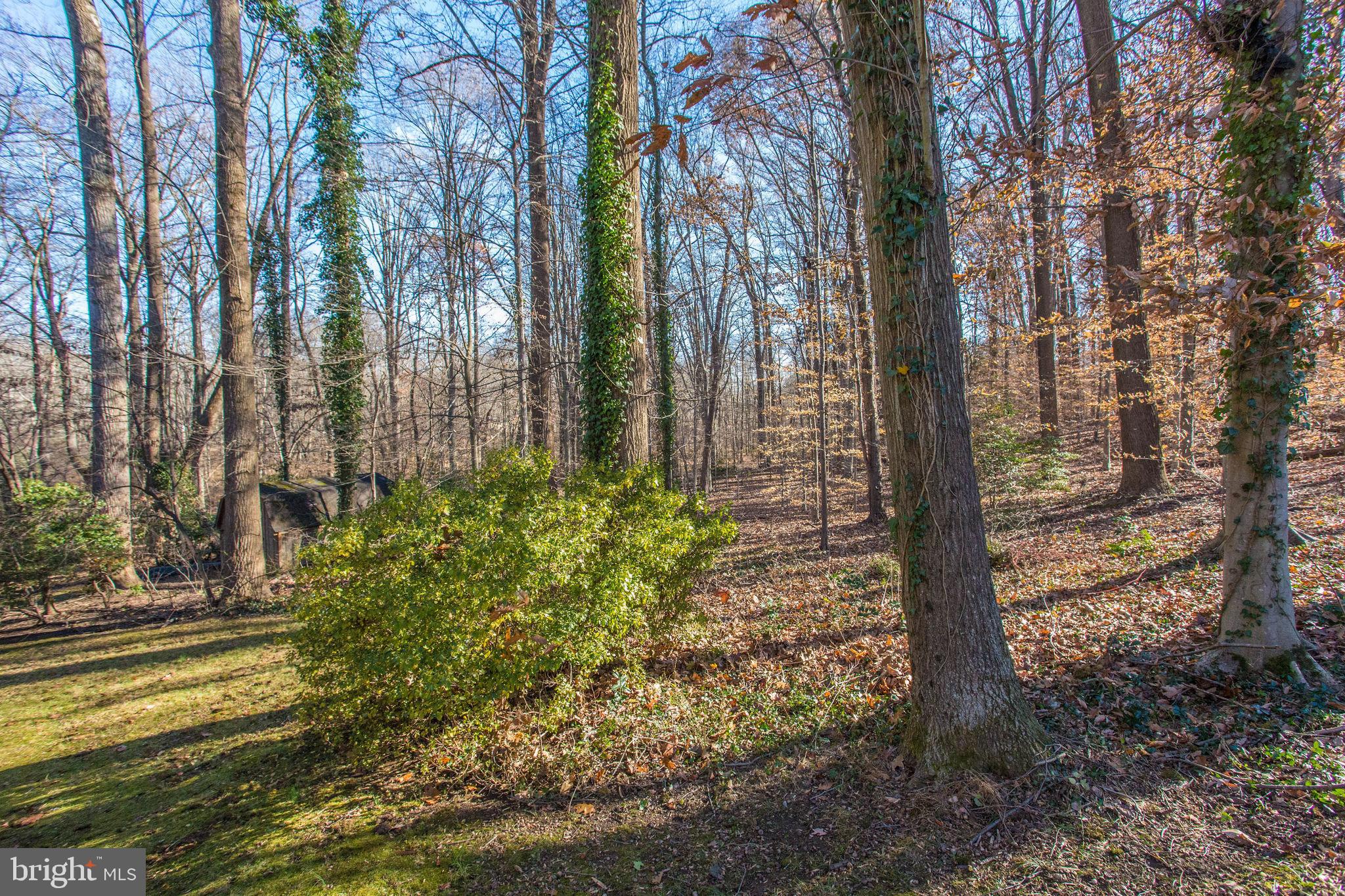 NEAR FAIRFAX - Residential