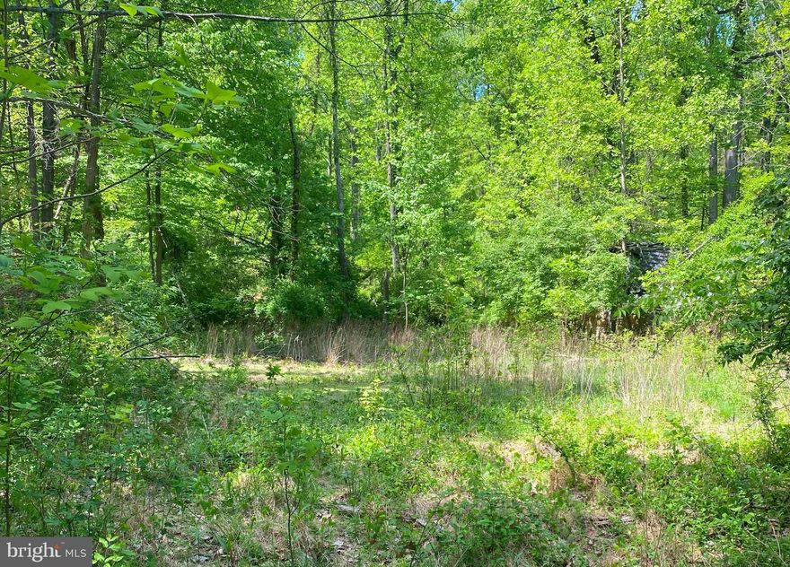 Just under 2 acre lot with public water hookup available.  Lot did have a 3 bedroom perc in the past (buyer to verify all details with the county).  This lot is situated close to Frederick and Middletown.